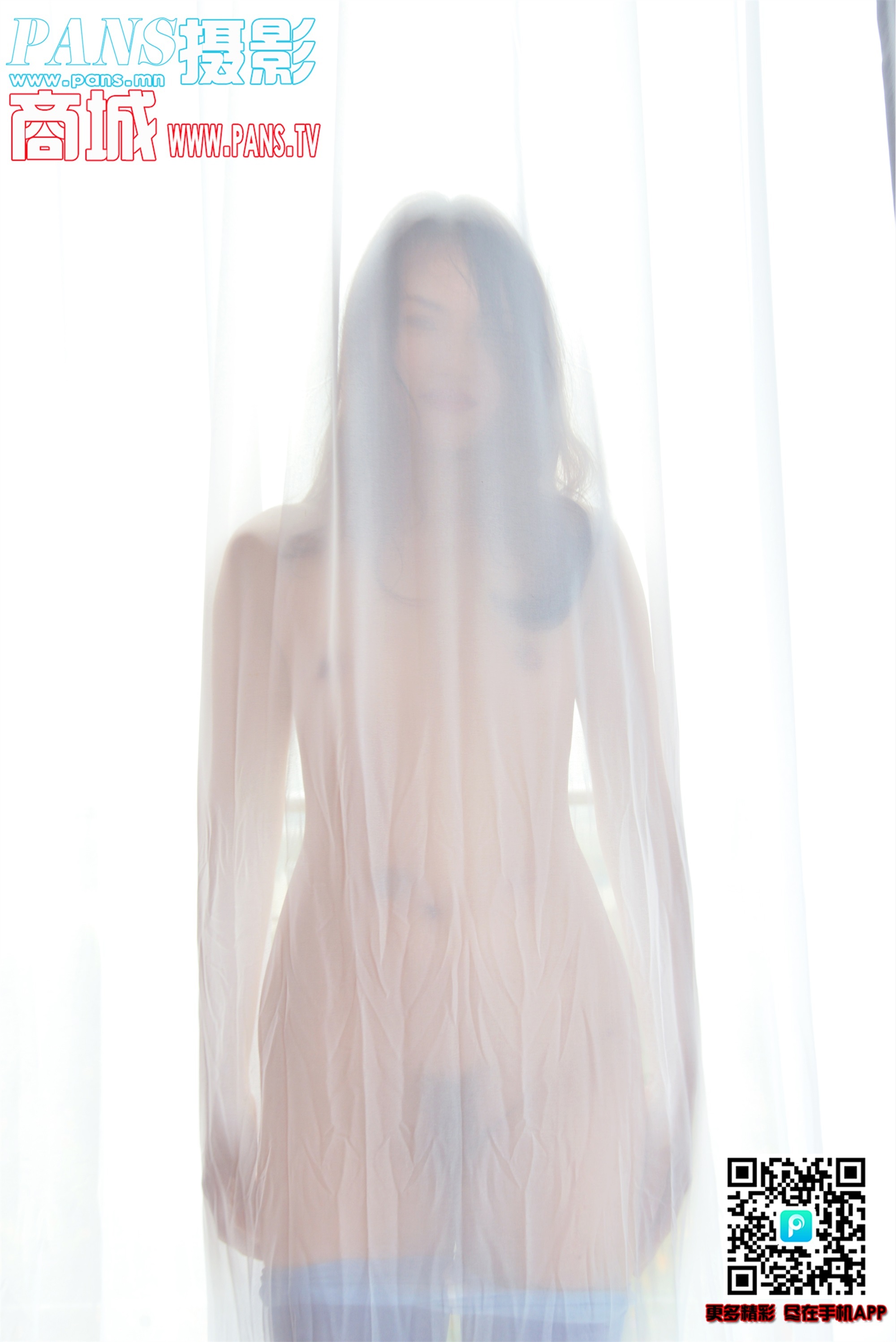 PANS写真 2019.01.16 NO.1080 安安