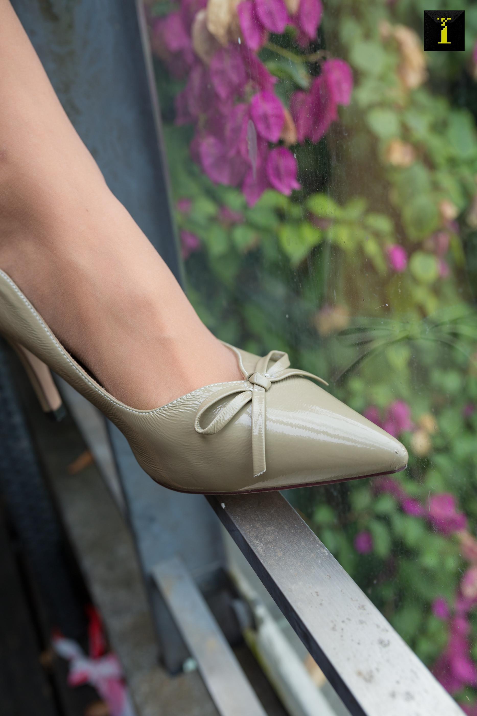 IESS异思趣向 2019.12.10 丝享家641：美子与三角梅