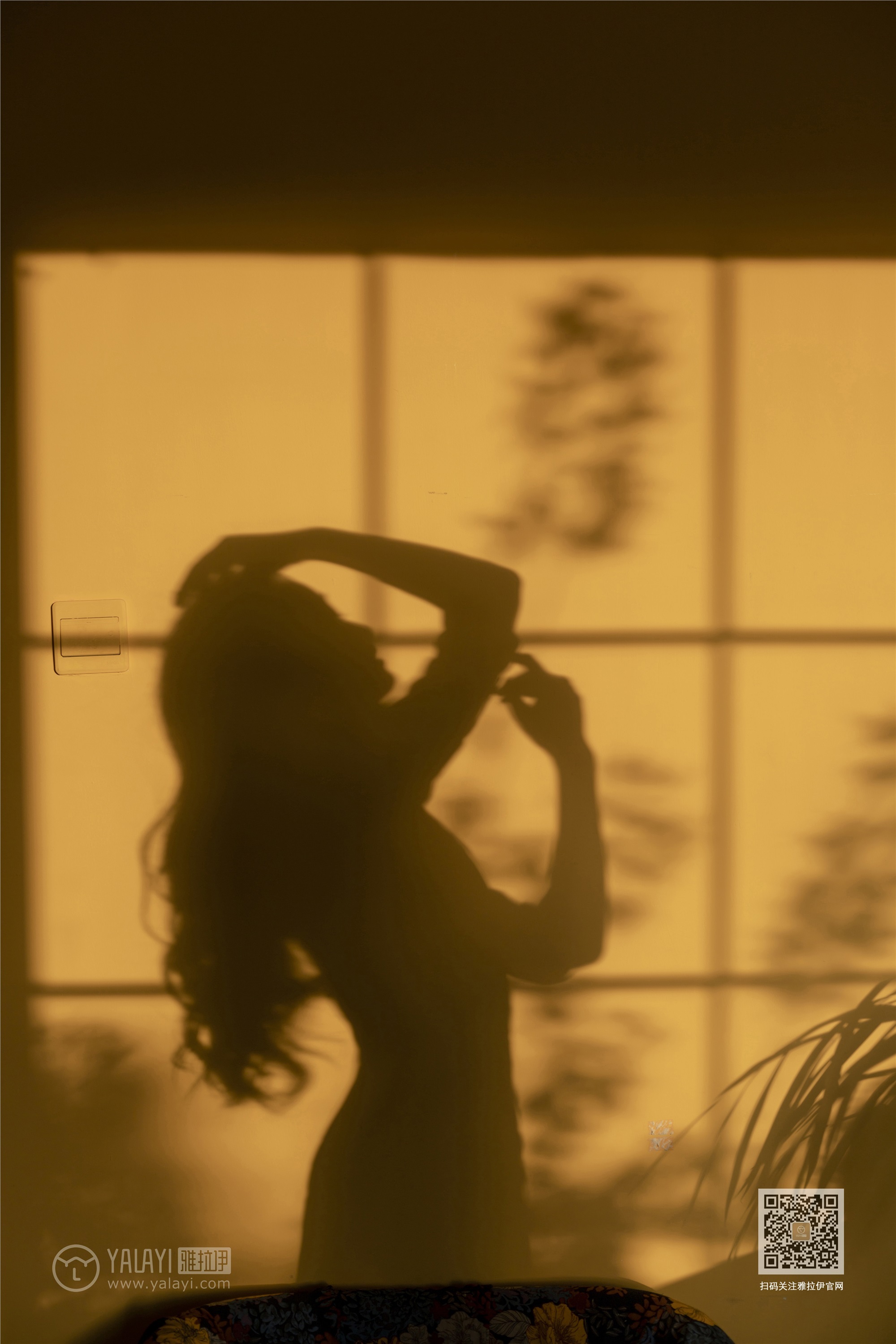 YALAYI雅拉伊 2019.11.17 Vol.463 项兴咏