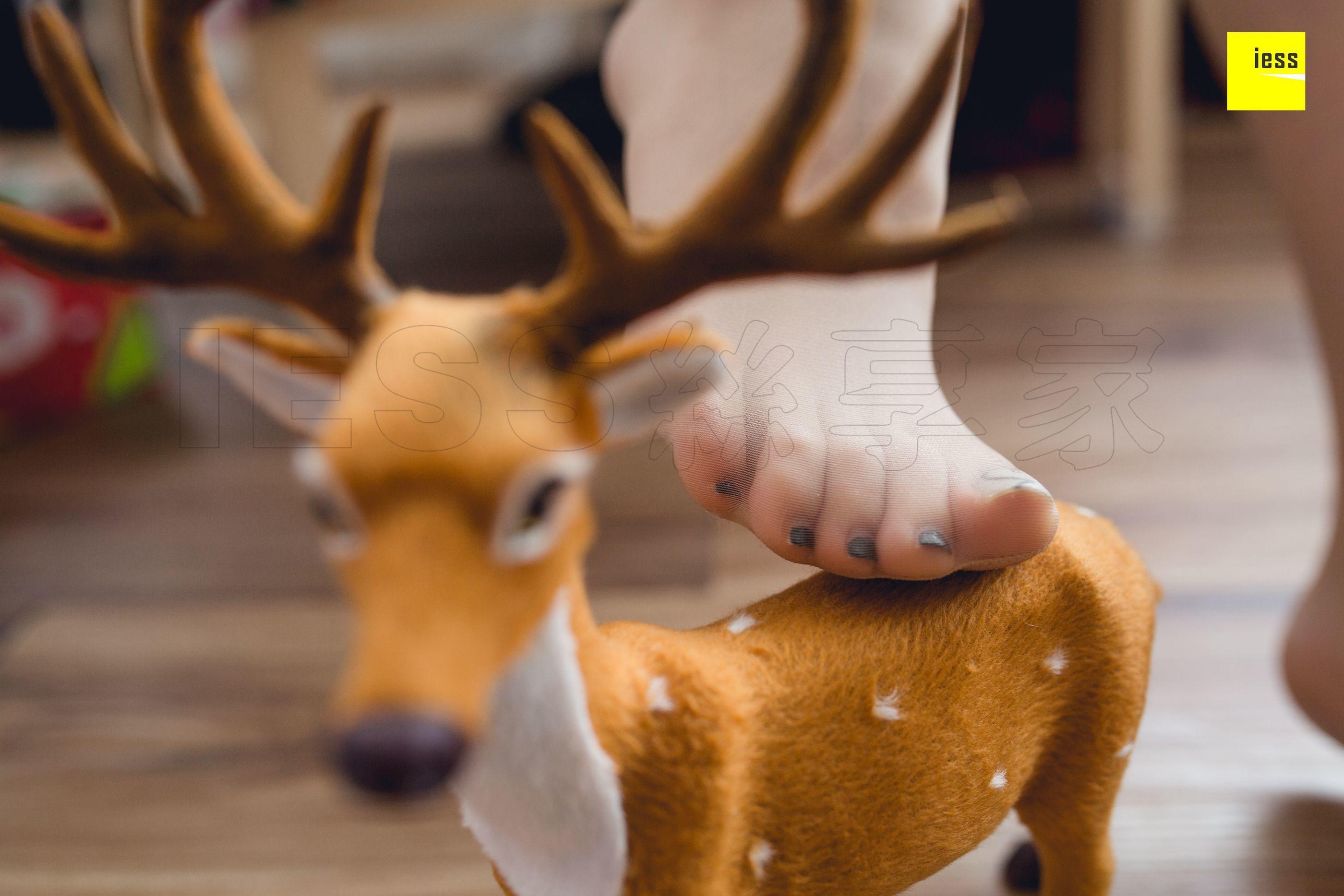 IESS异思趣向 2019.12.16 丝享家647：佳佳