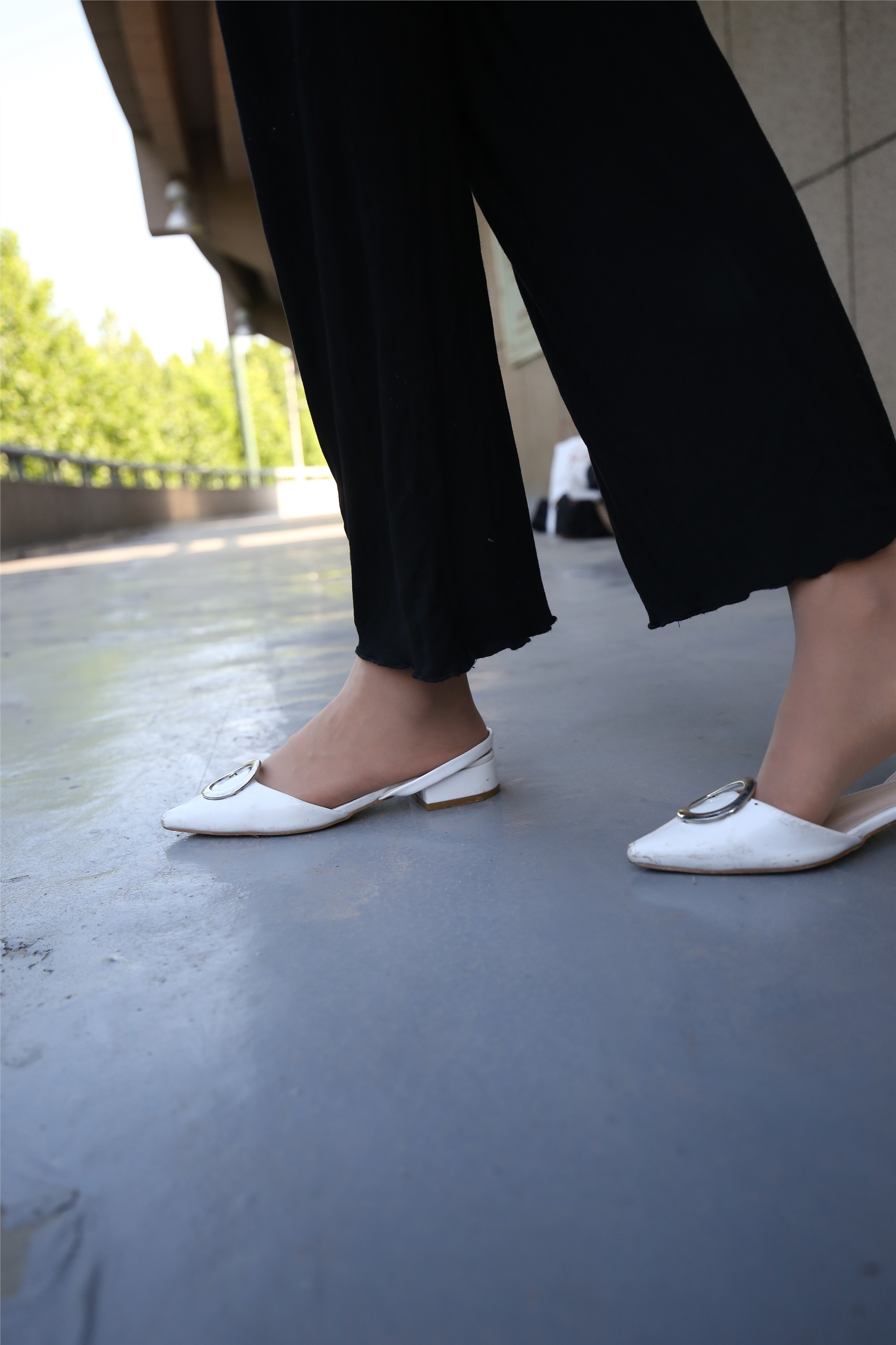 大西瓜美女图片 Z3-2 裤妹短丝221p1