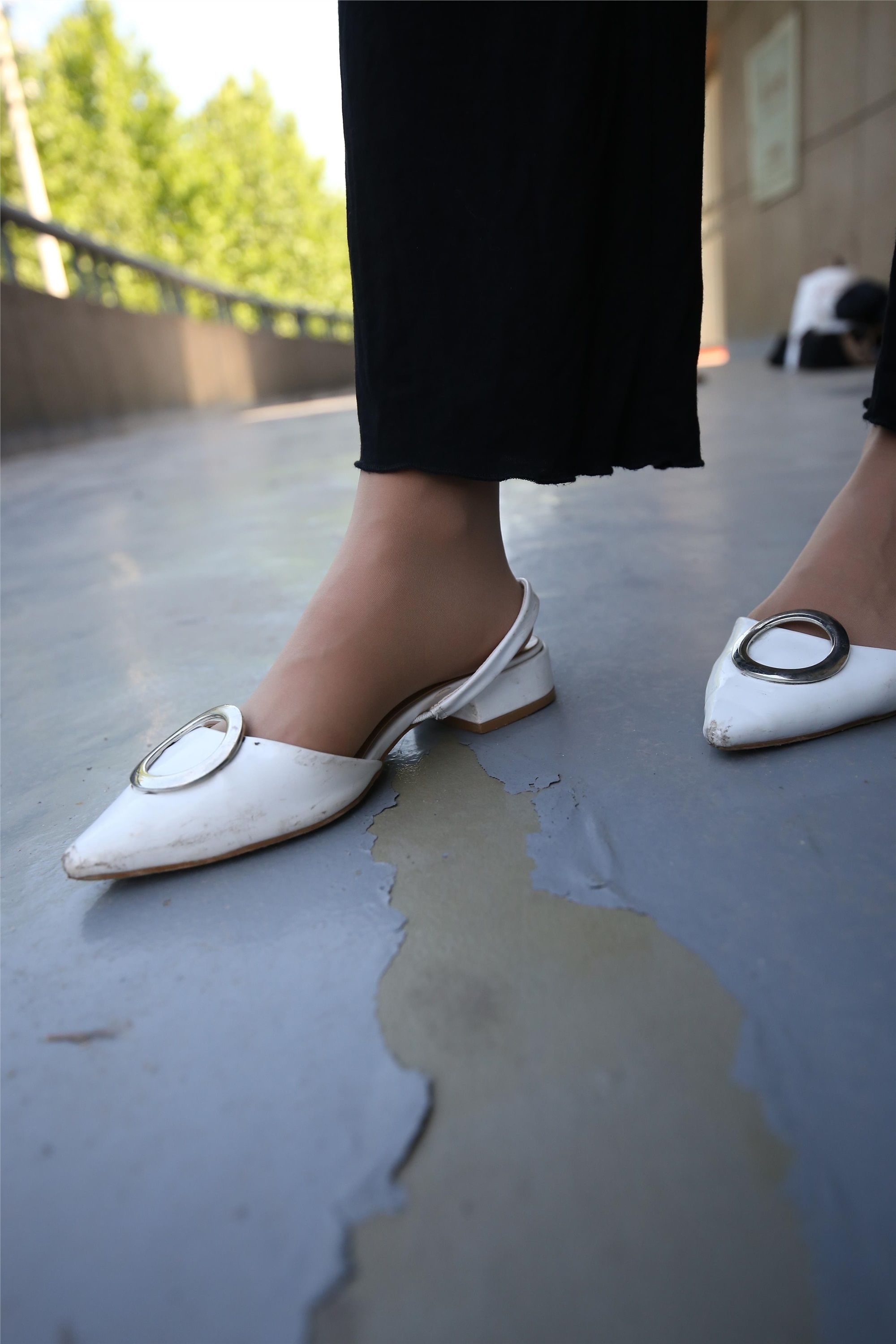 大西瓜美女图片 Z3-2 裤妹短丝221p1