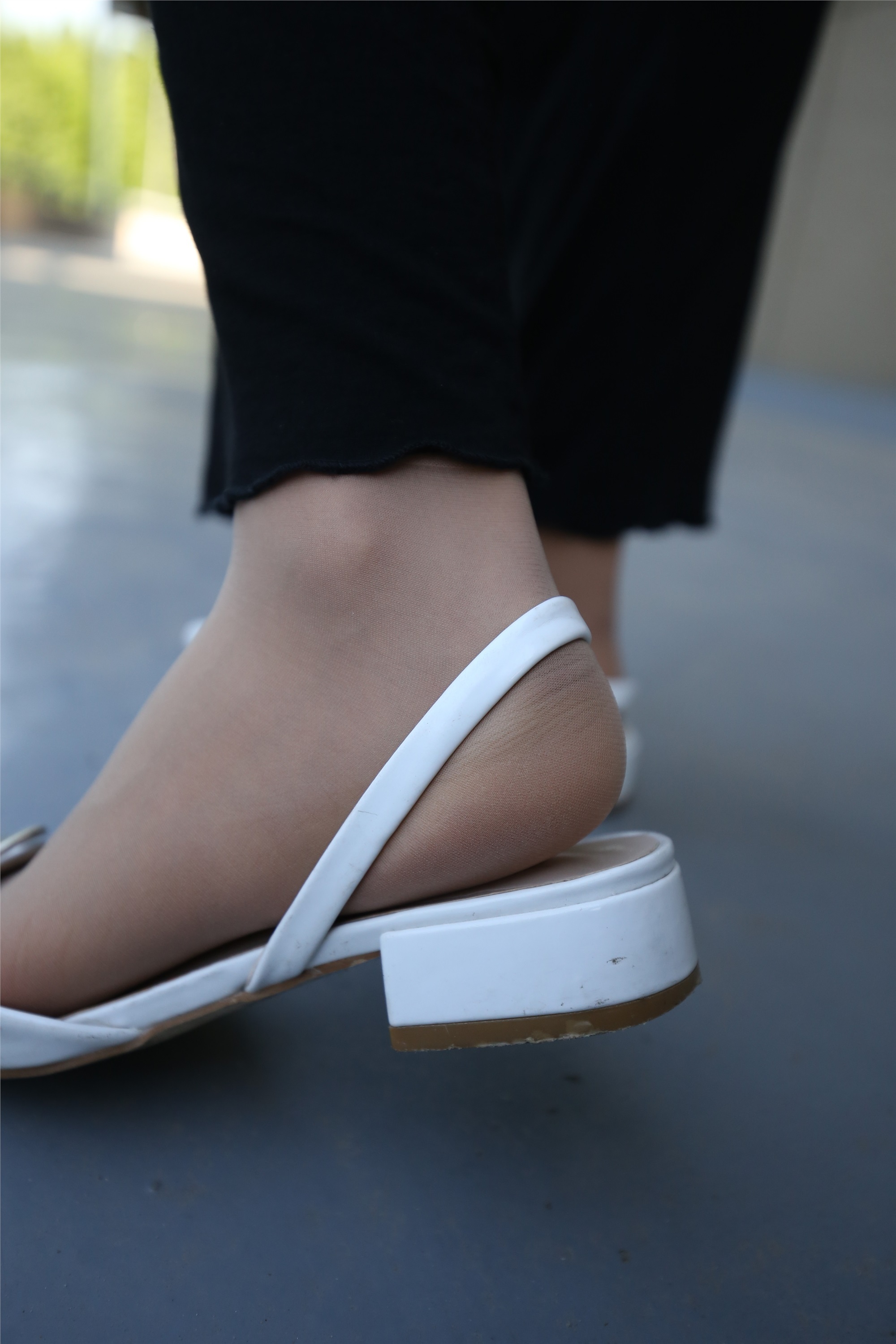 大西瓜美女图片 Z3-2 裤妹短丝221p1