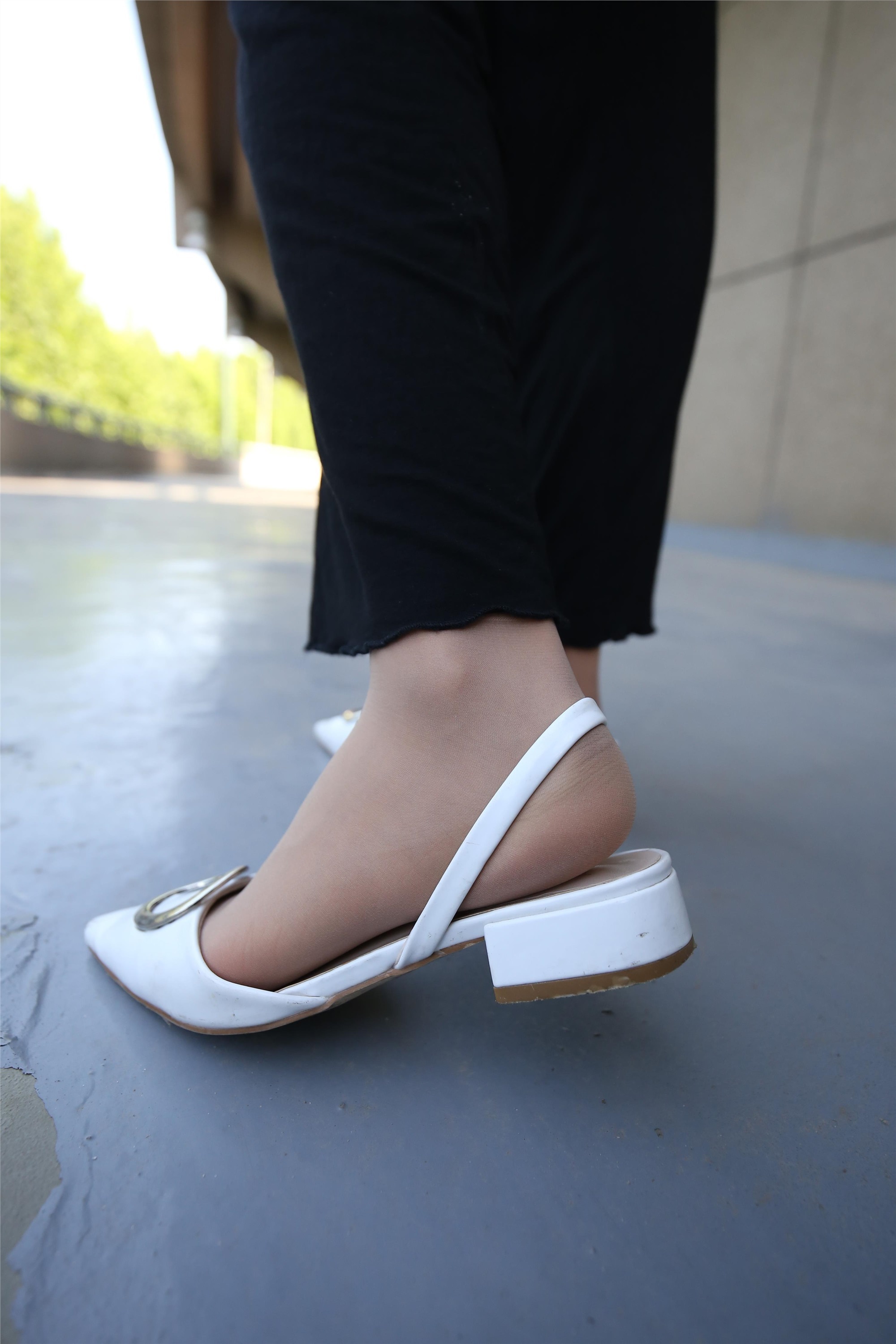 大西瓜美女图片 Z3-2 裤妹短丝221p1