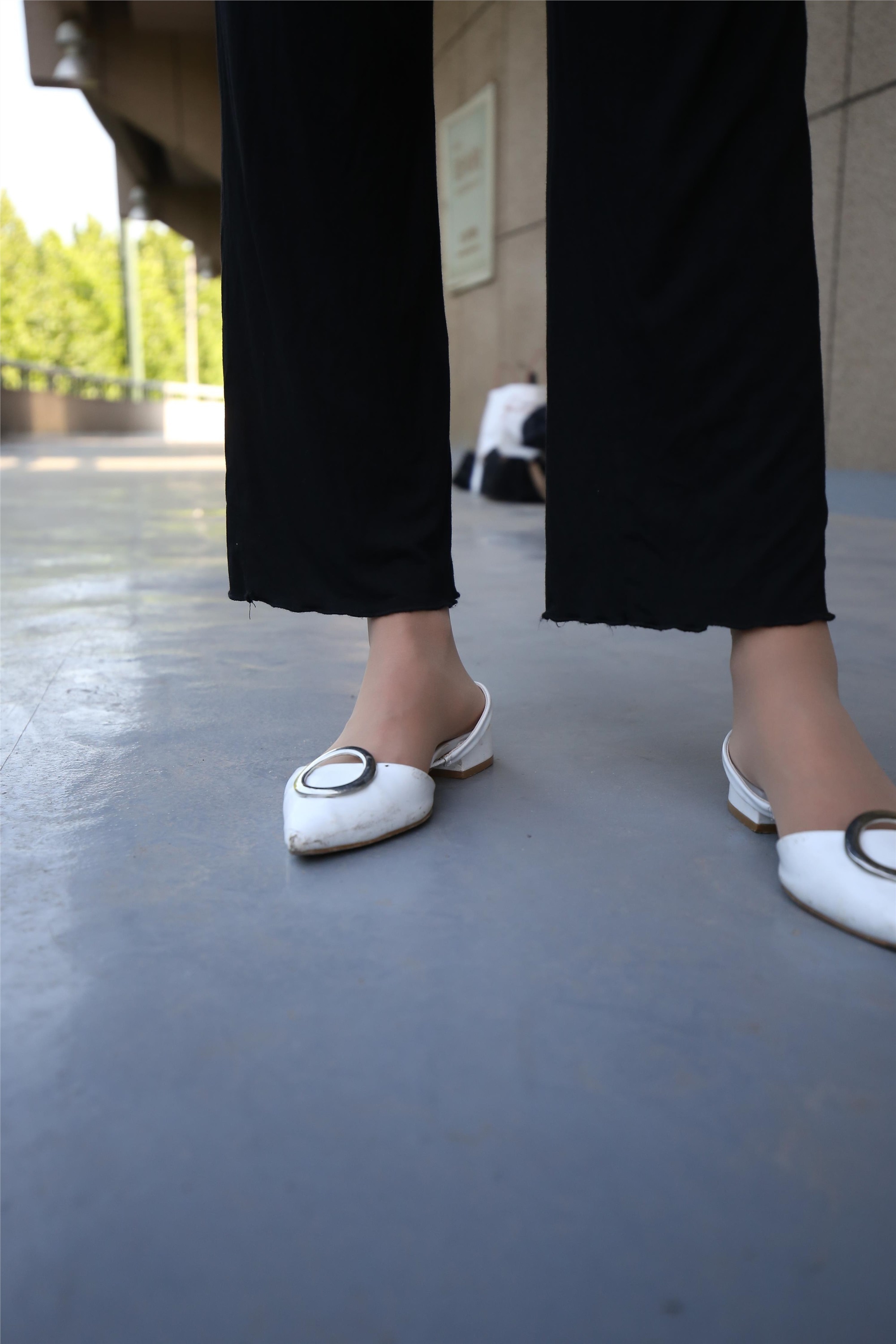 大西瓜美女图片 Z3-2 裤妹短丝221p2