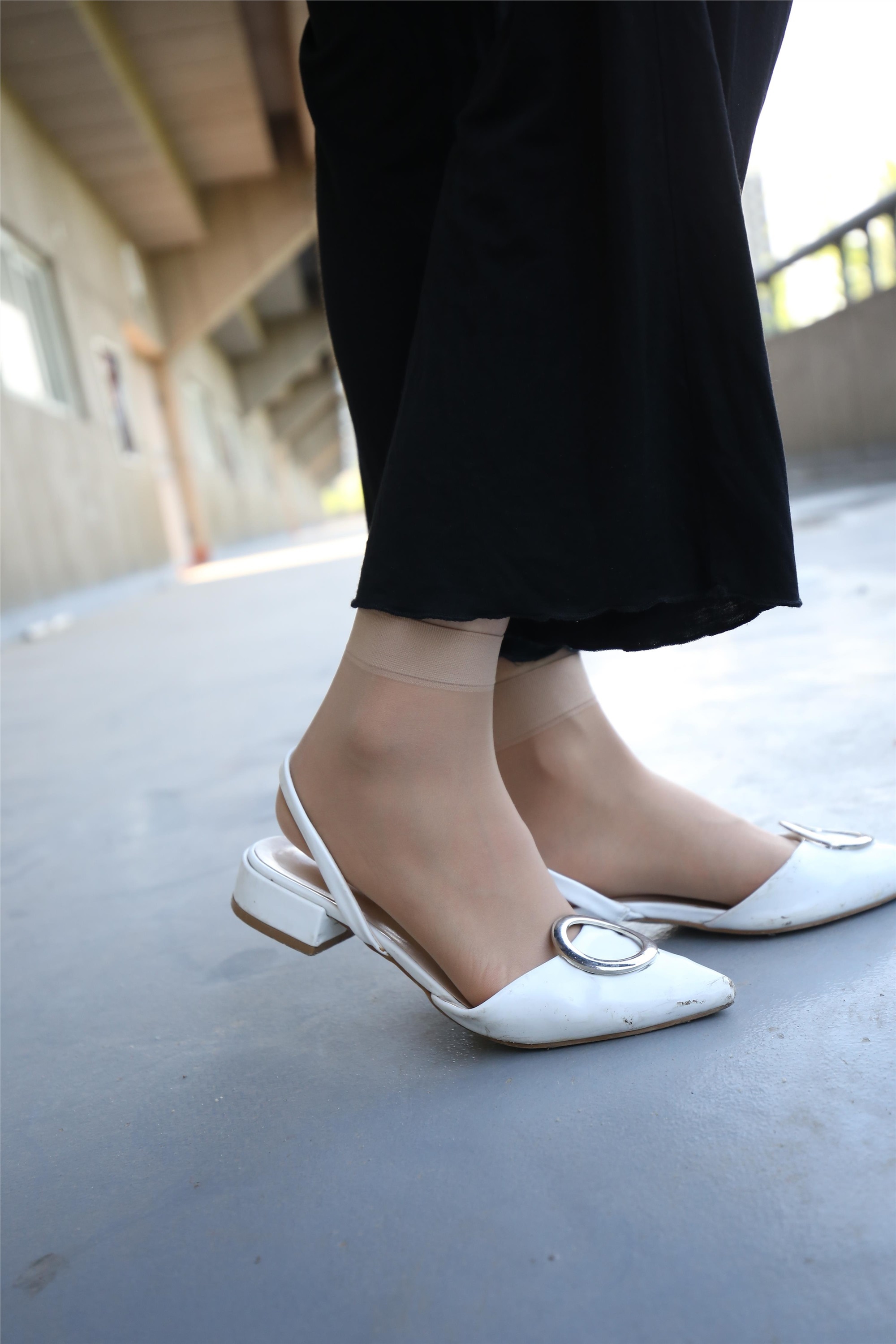 大西瓜美女图片 Z3-2 裤妹短丝221p2