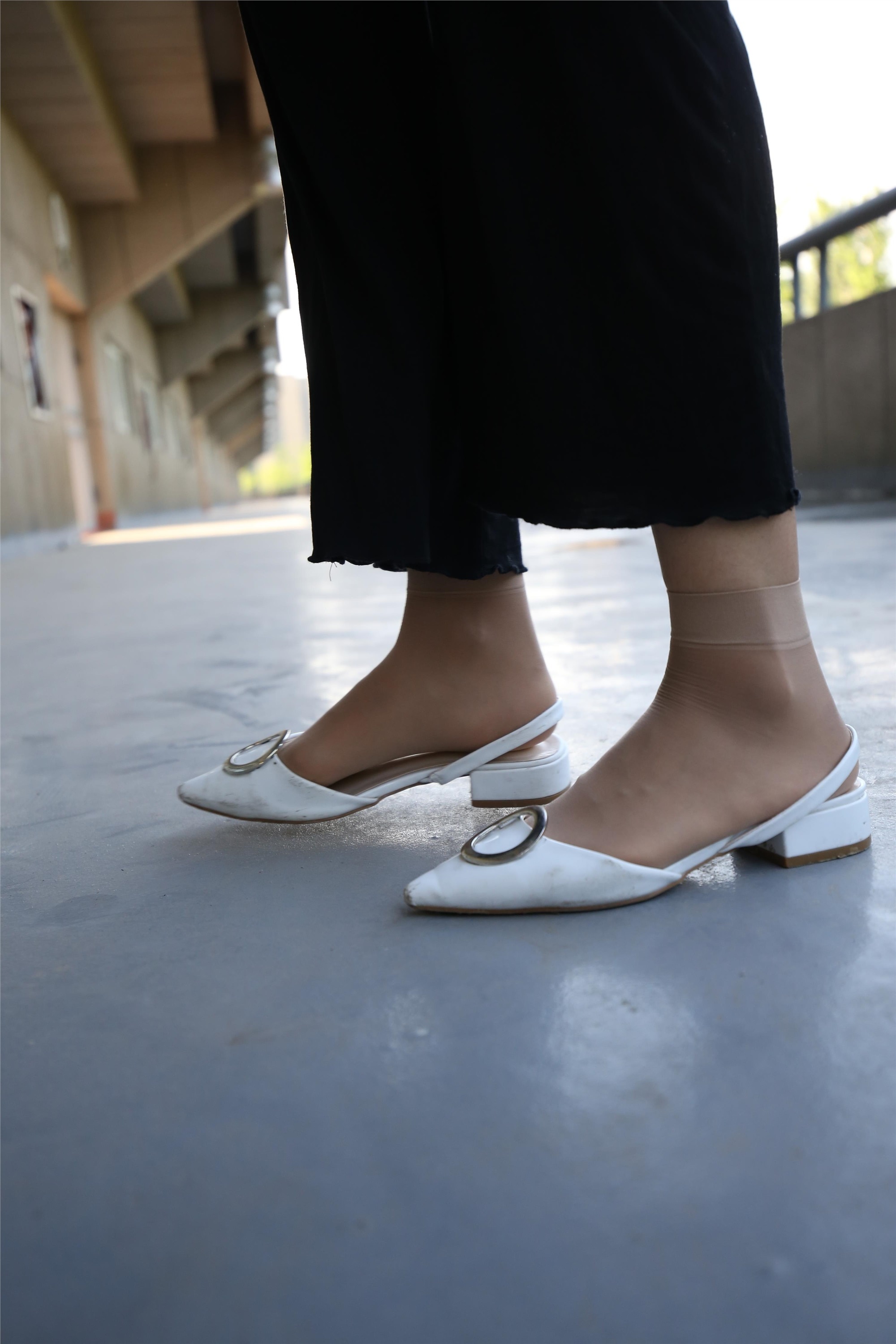 大西瓜美女图片 Z3-2 裤妹短丝221p2