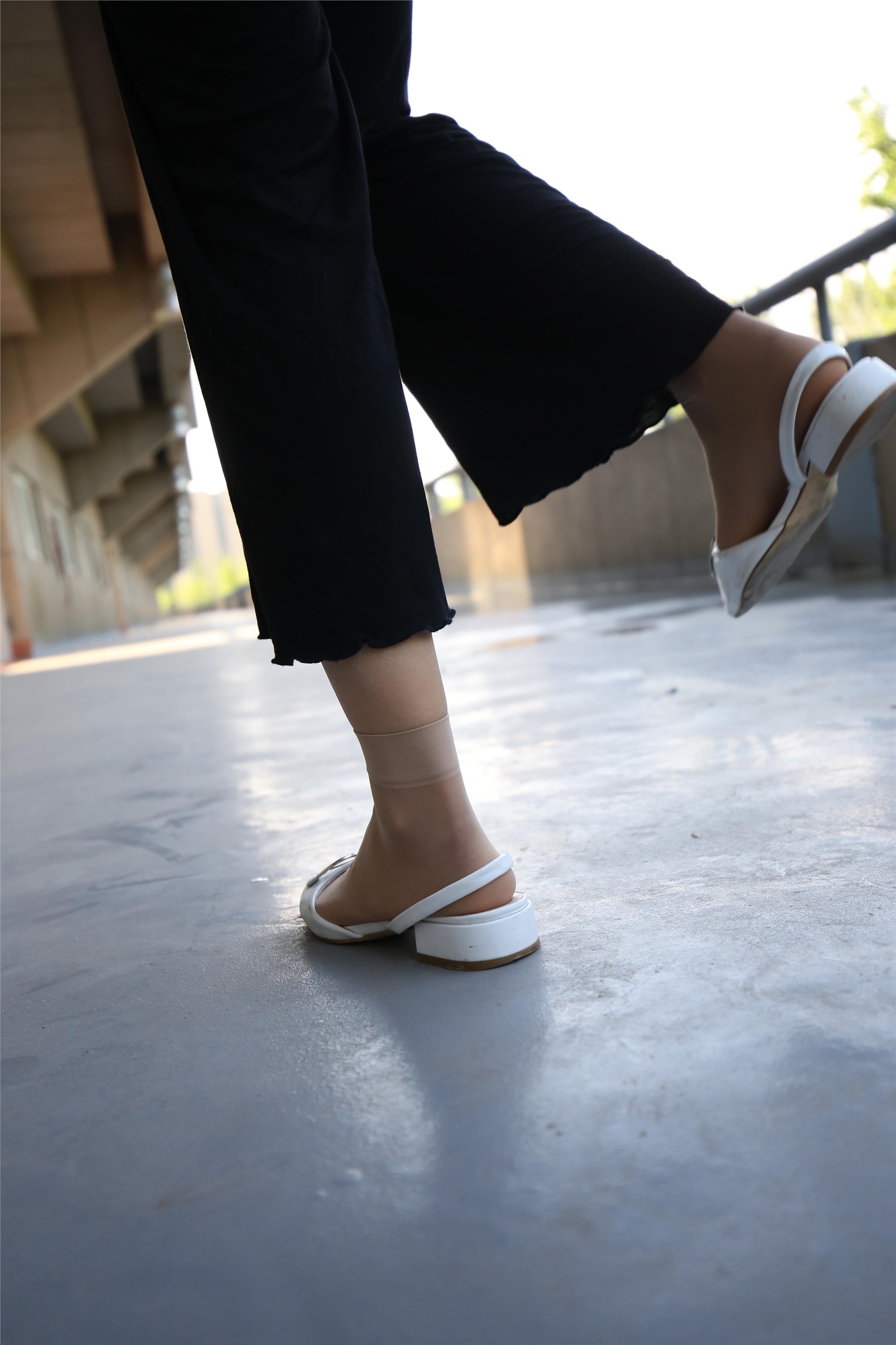 大西瓜美女图片 Z3-2 裤妹短丝221p2