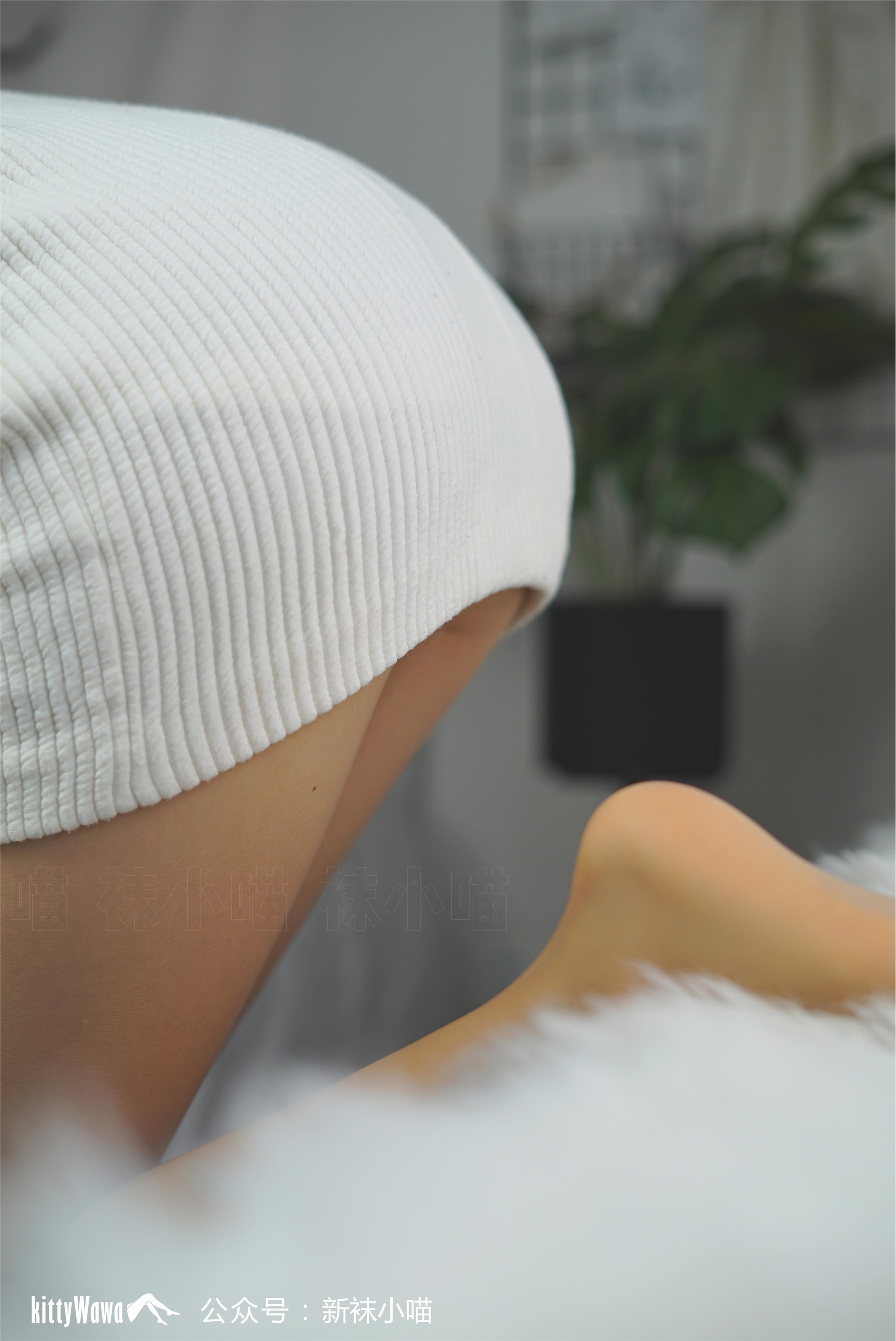 袜小喵  KT076《初冬的白色毛衣》