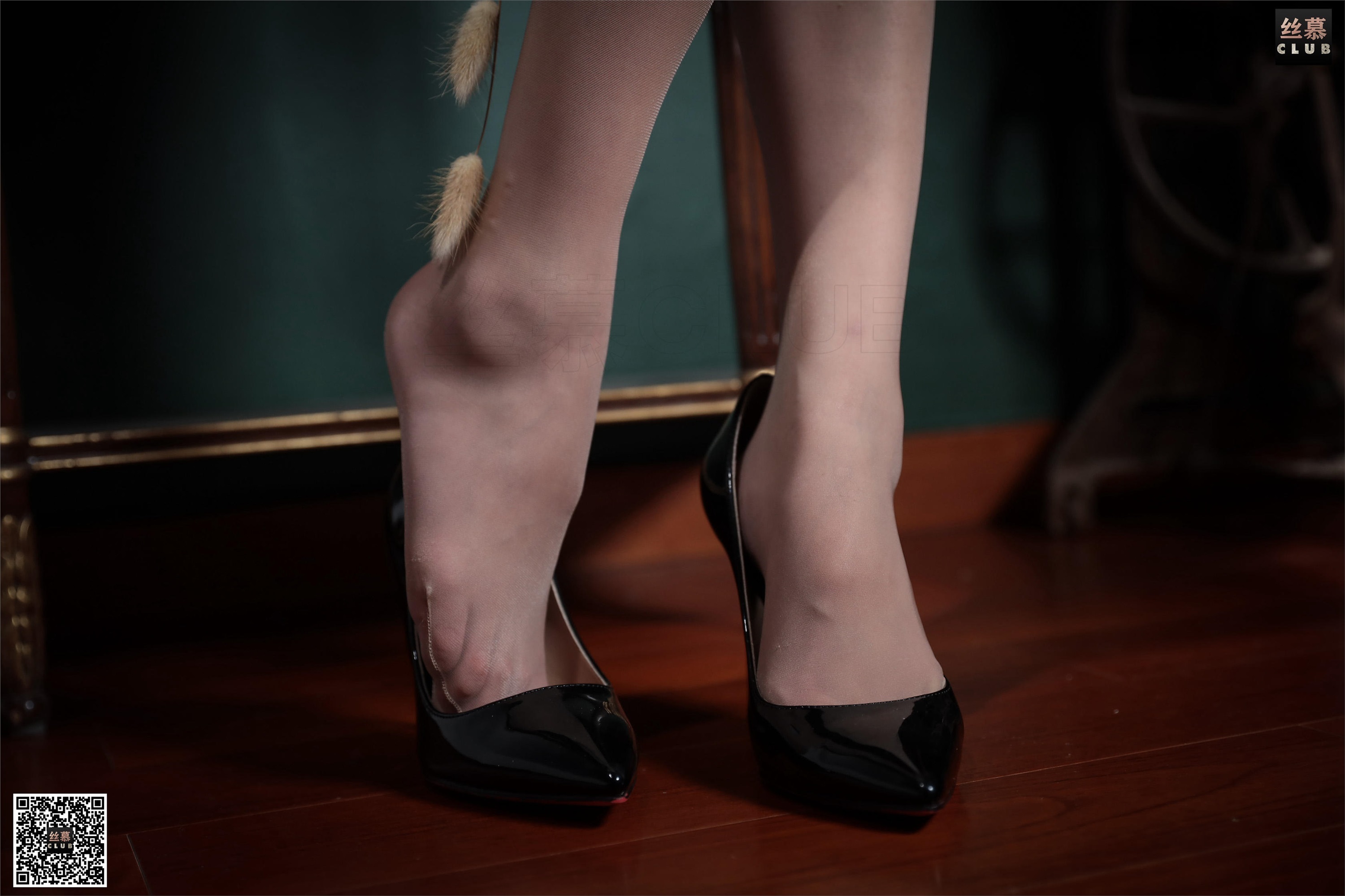 丝慕写真 SM065 模特：花姐《舞娘》