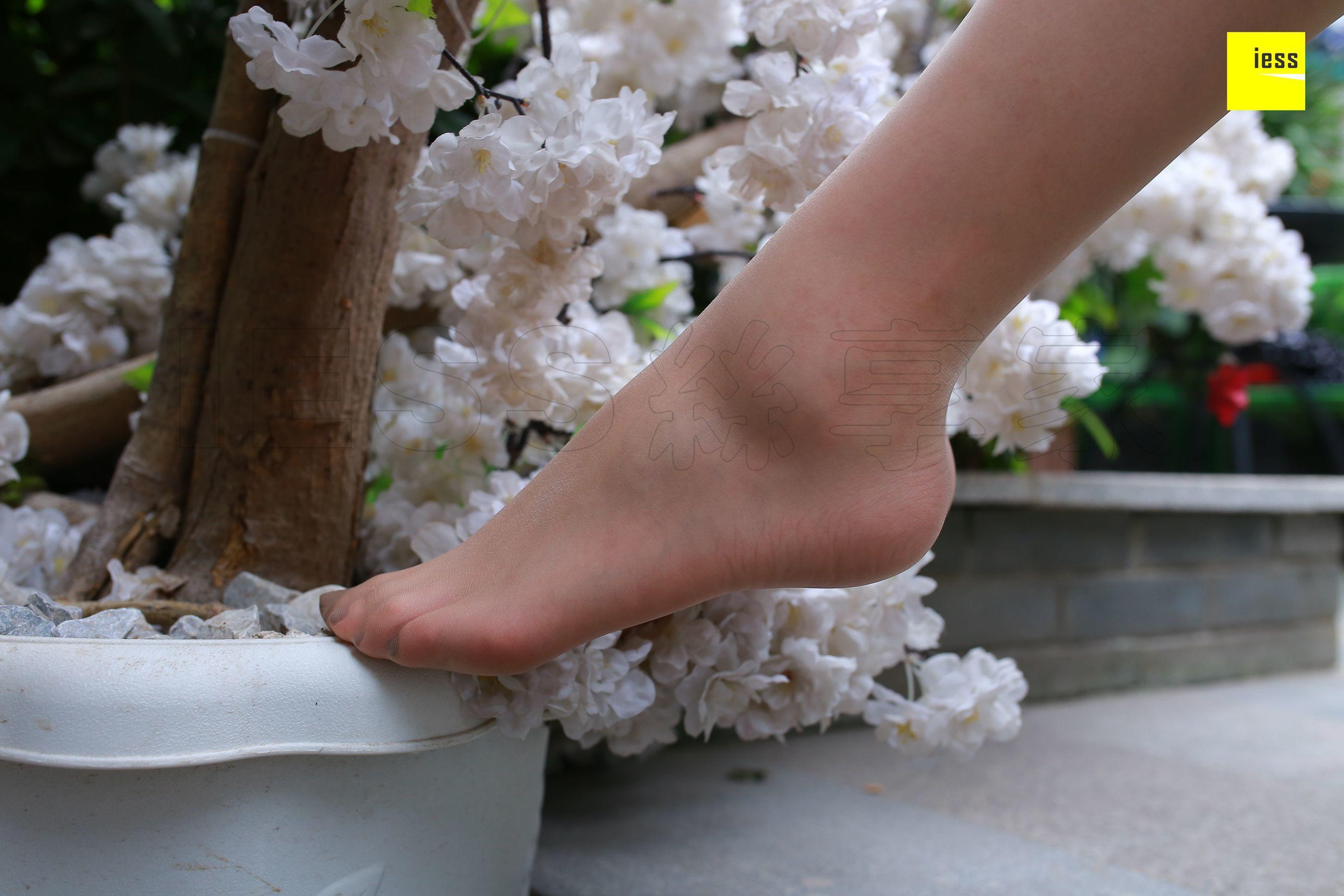 IESS异思趣向  2018.05.18 丝享家235：《肤白貌美嫩脚趾》紫紫