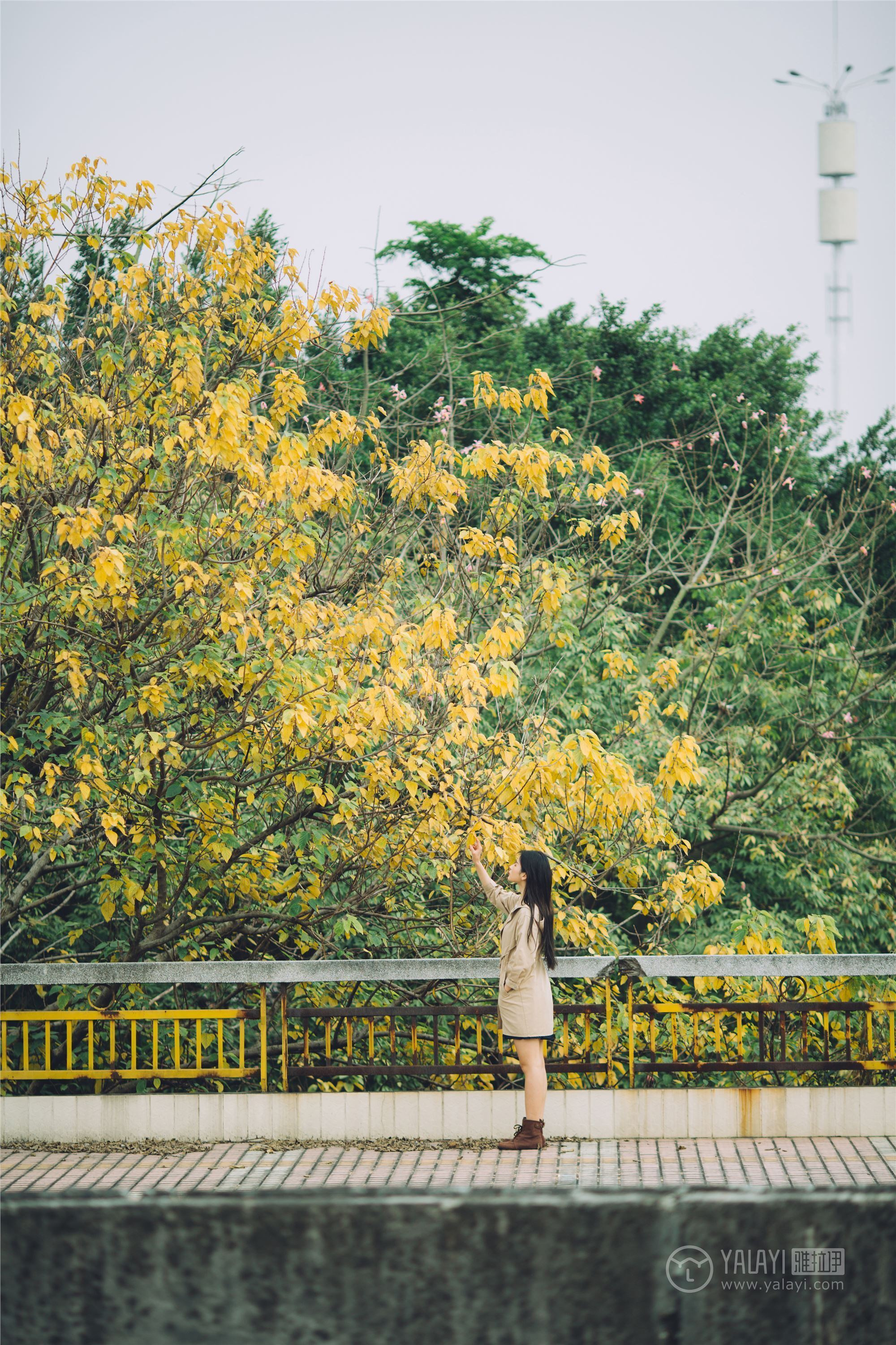 YALAYI雅拉伊 2019.01.30 No.179 焦糖色少女 阿惜