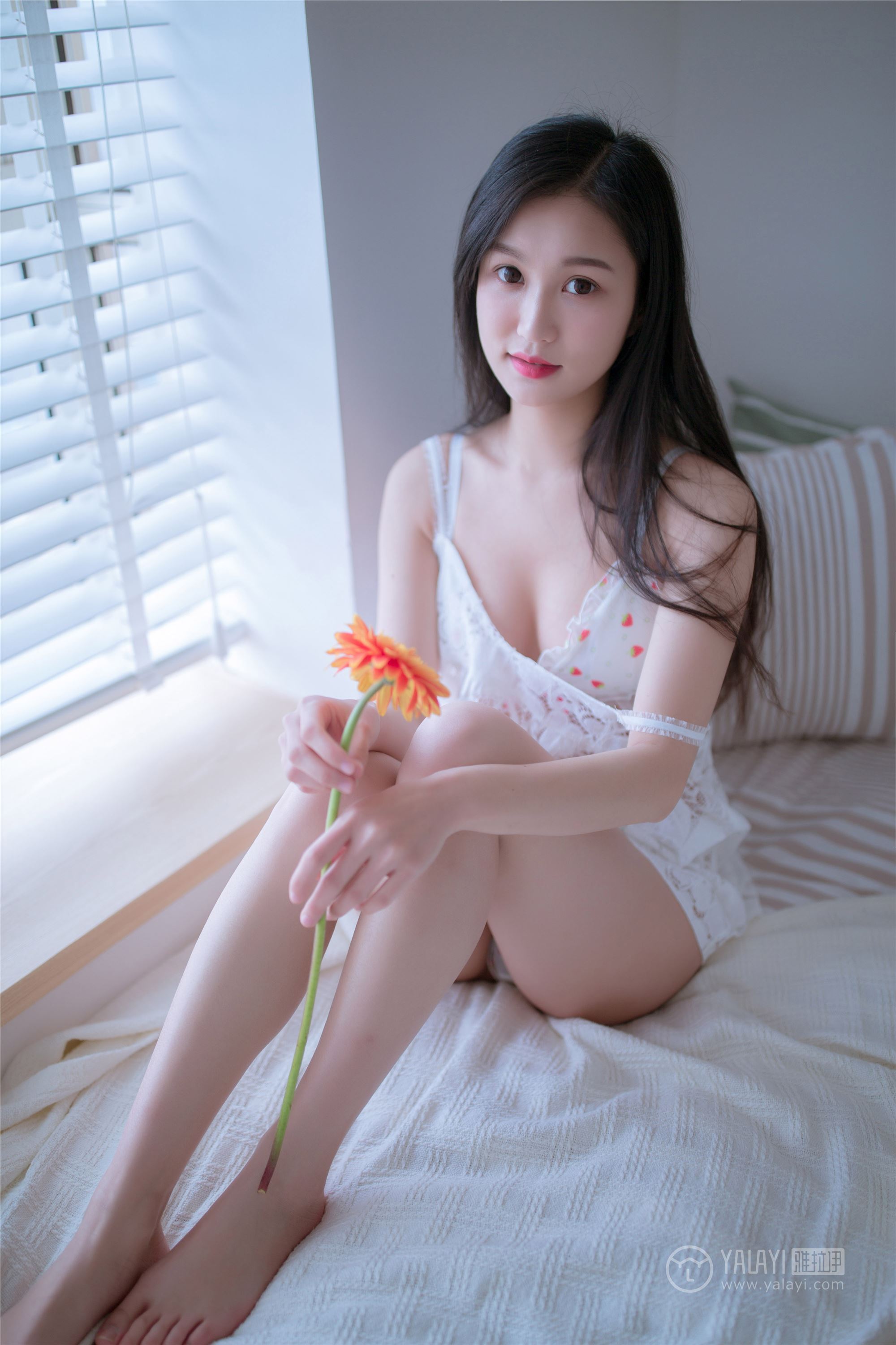 YALAYI雅拉伊 2019.02.14 No.185 你是我手里那束花 仙女不会灰