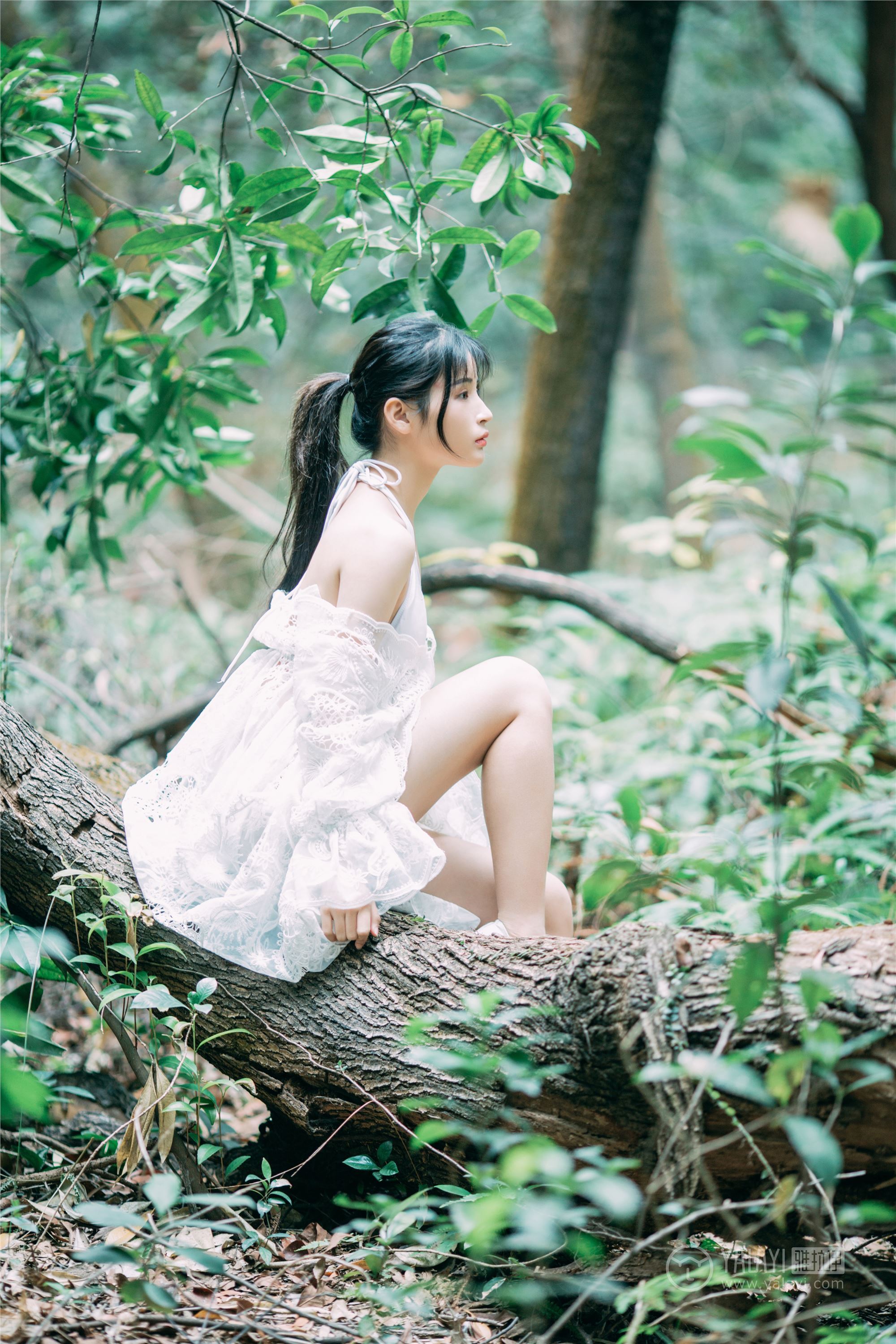 YALAYI雅拉伊 2019.02.24 No.194 仙乐飘飘 阿惜