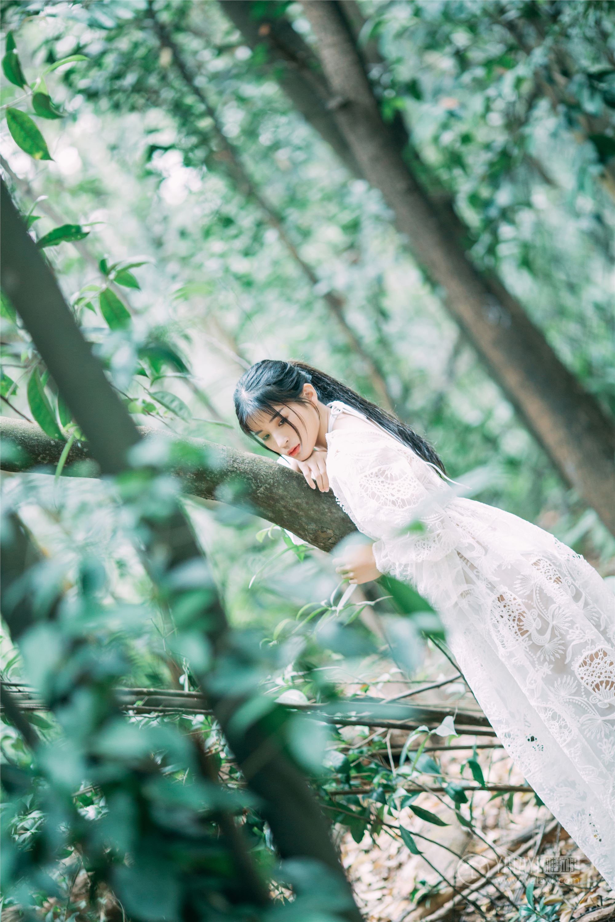 YALAYI雅拉伊 2019.02.24 No.194 仙乐飘飘 阿惜