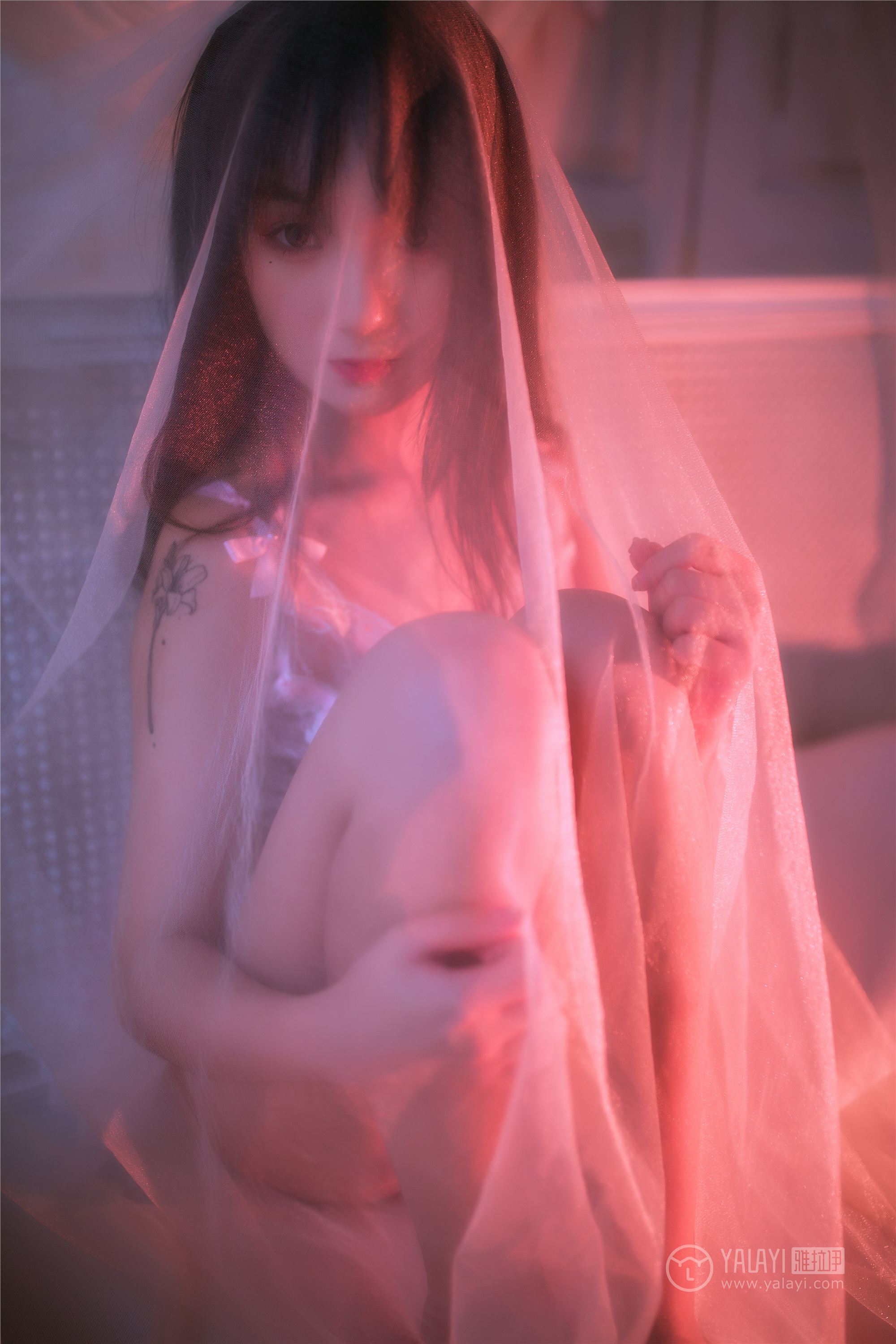 YALAYI雅拉伊 2019.02.25 No.195 相思夜 夏夏