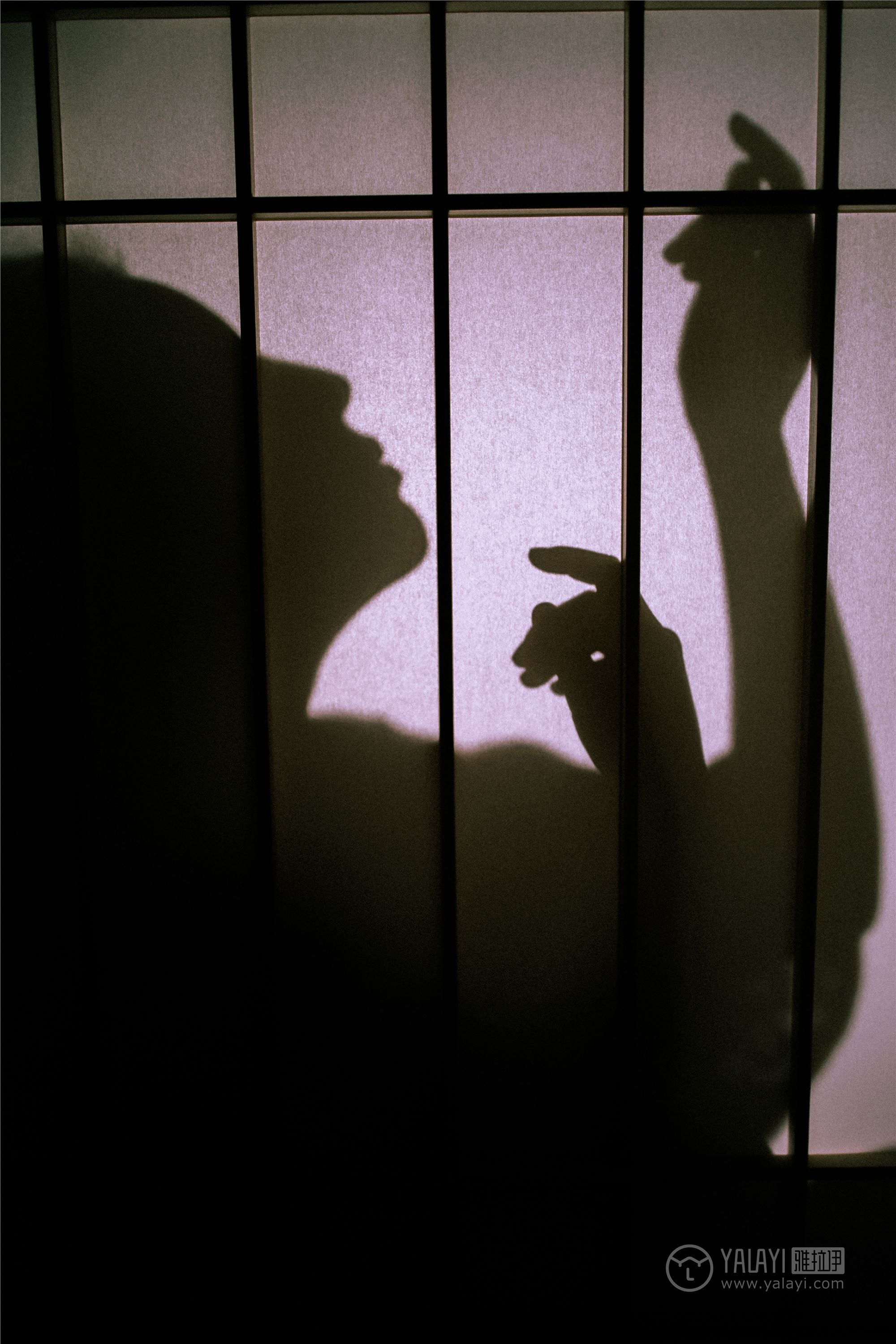 YALAYI雅拉伊 2019.03.03 No.202 夜光 圆圆