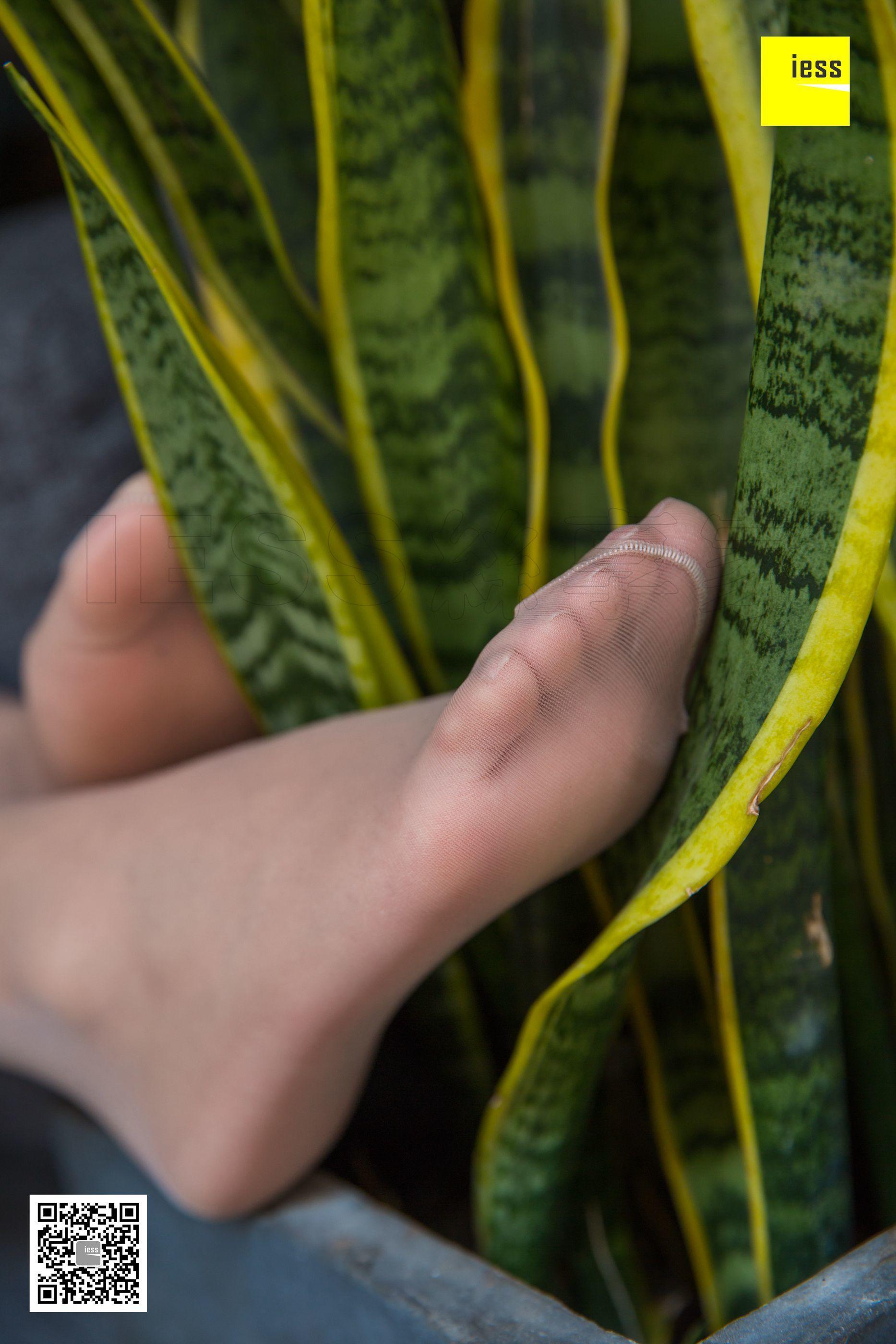 IESS异思趣向  2018.07.02 丝享家265：《婉萍小仙女肉丝》婉萍