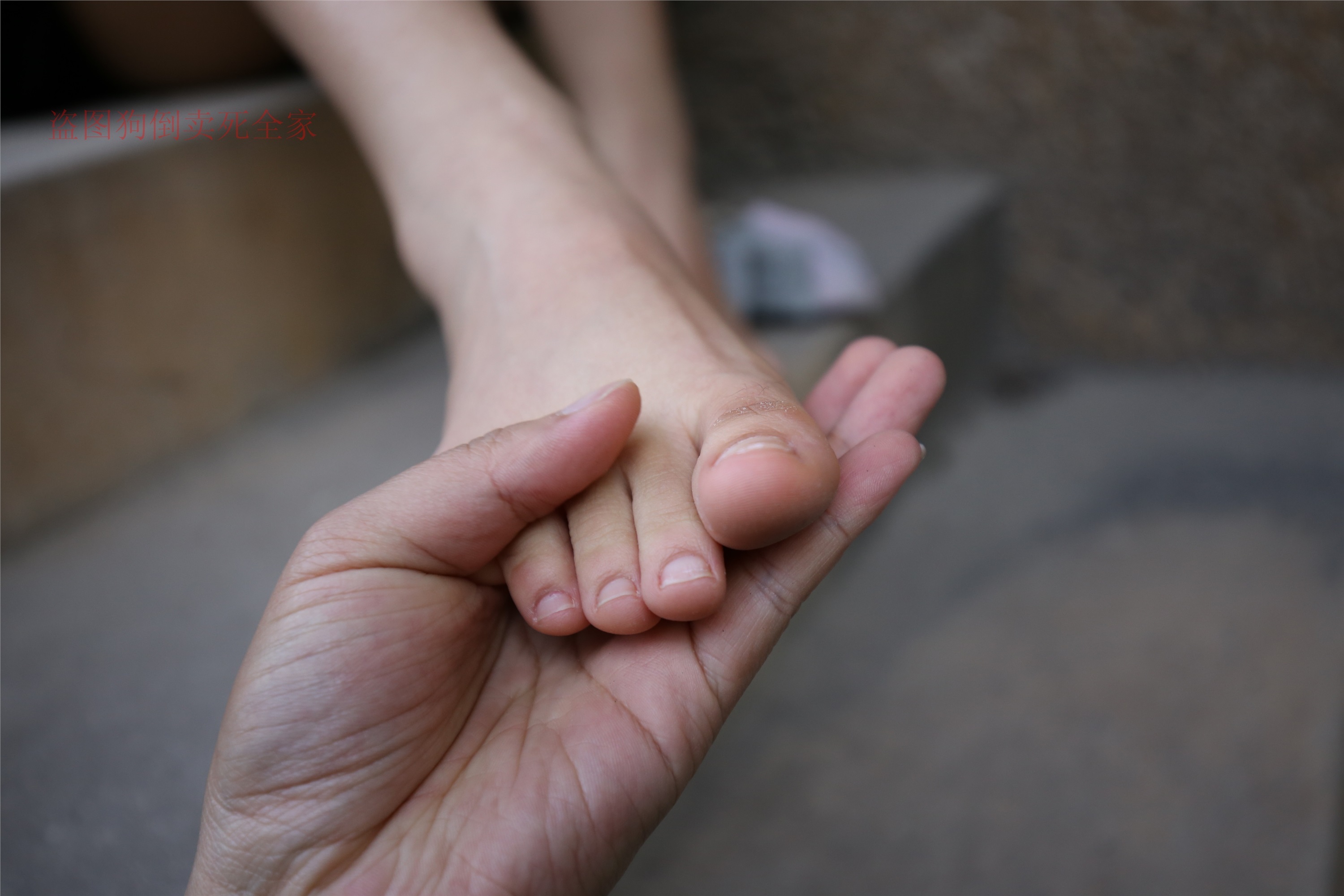 大西瓜套图 S004 棉袜 luo足 308p1