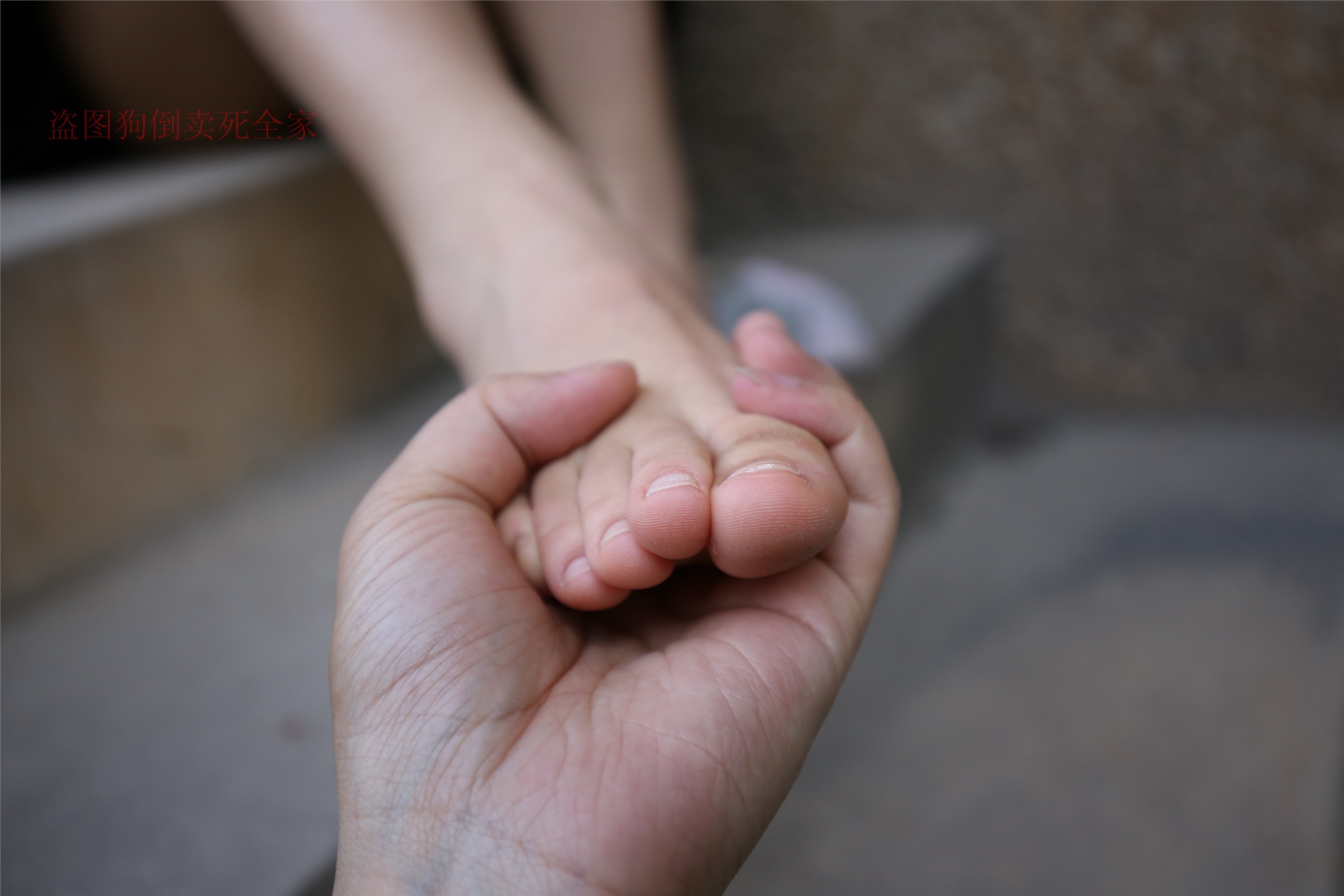 大西瓜套图 S004 棉袜 luo足 308p1