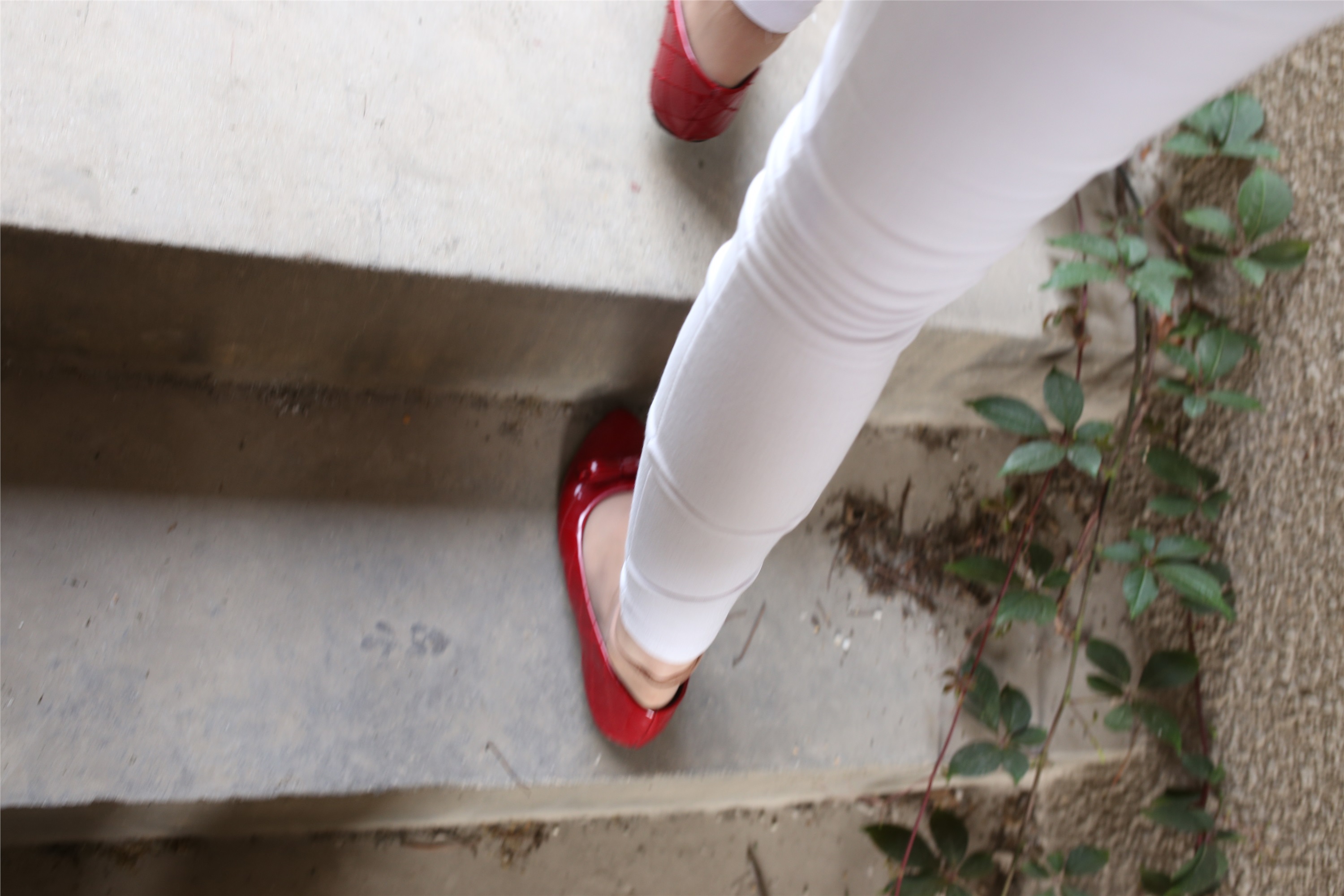 大西瓜套图 S009 红嘴唇少妇337p2