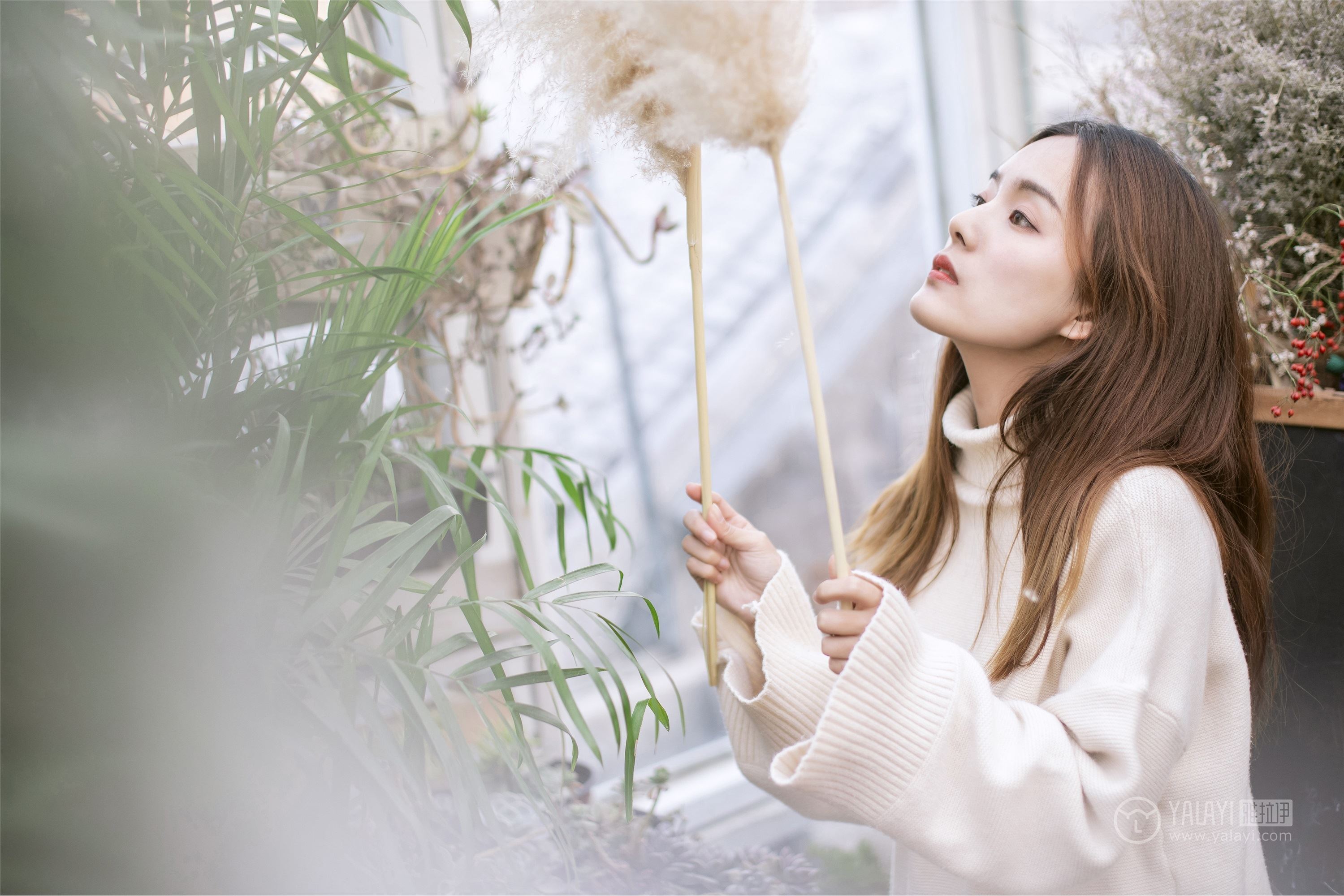 YALAYI雅拉伊 2019.03.07 No.209 温柔的你 白日梦