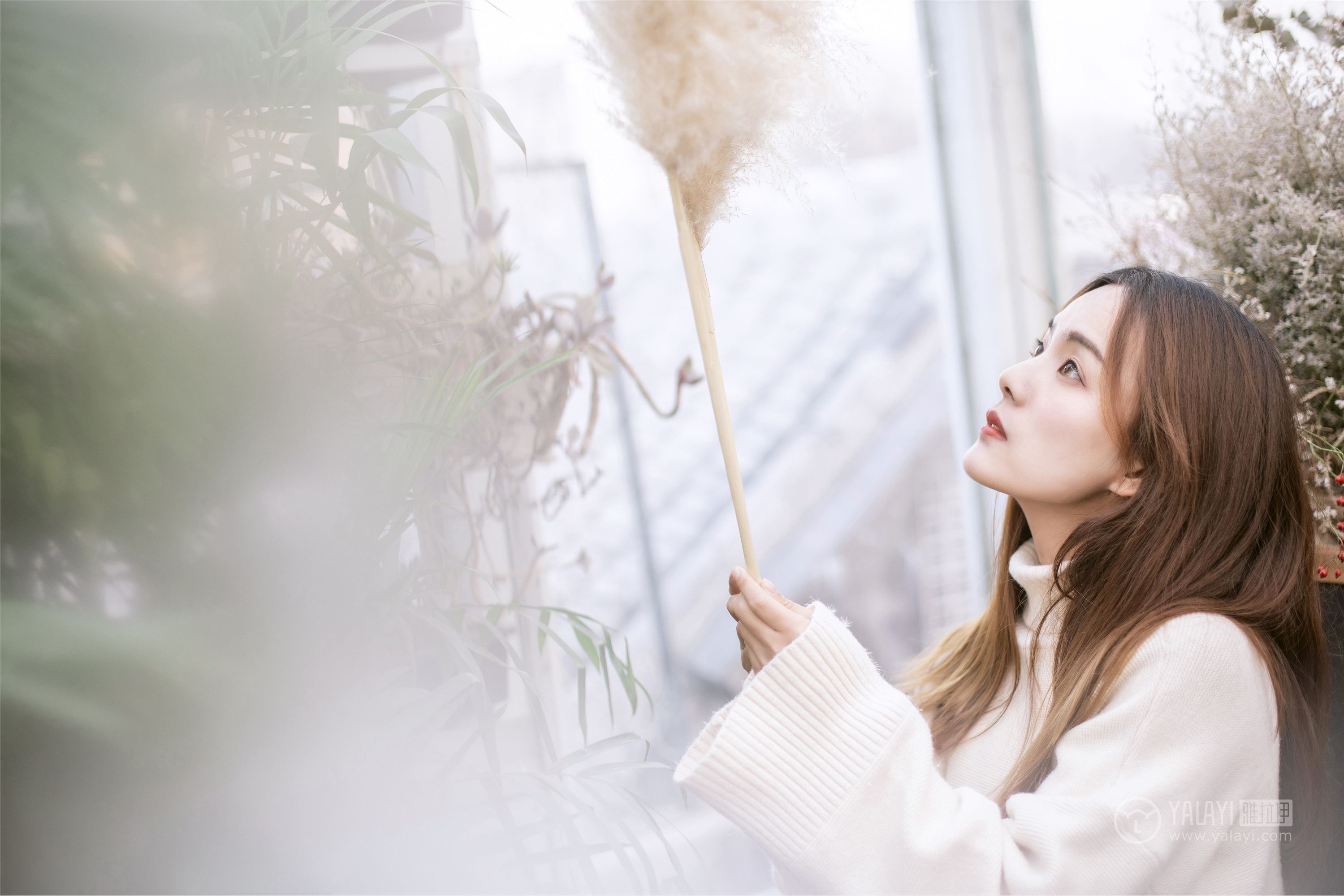 YALAYI雅拉伊 2019.03.07 No.209 温柔的你 白日梦