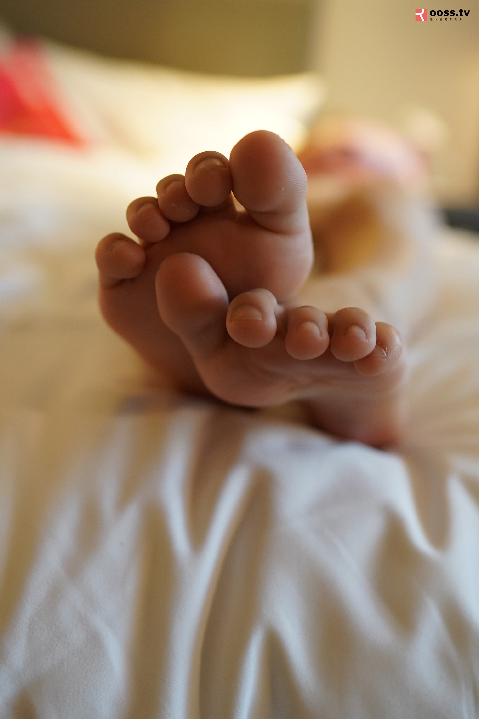 ROSI写真 2019.08.06 NO.2801