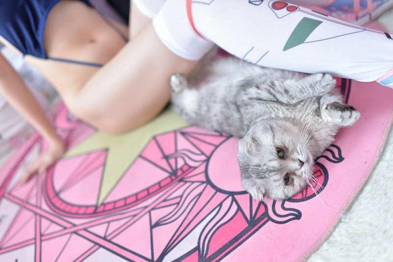 Nagesa魔物喵 - 微博杂图 Tw