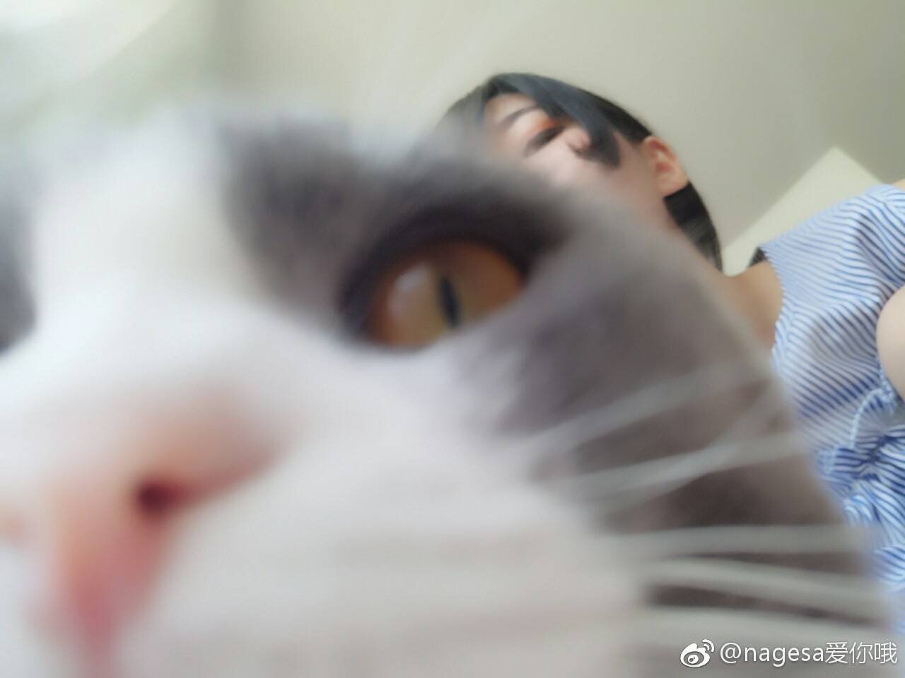 Nagesa魔物喵 - 微博杂图 Tw