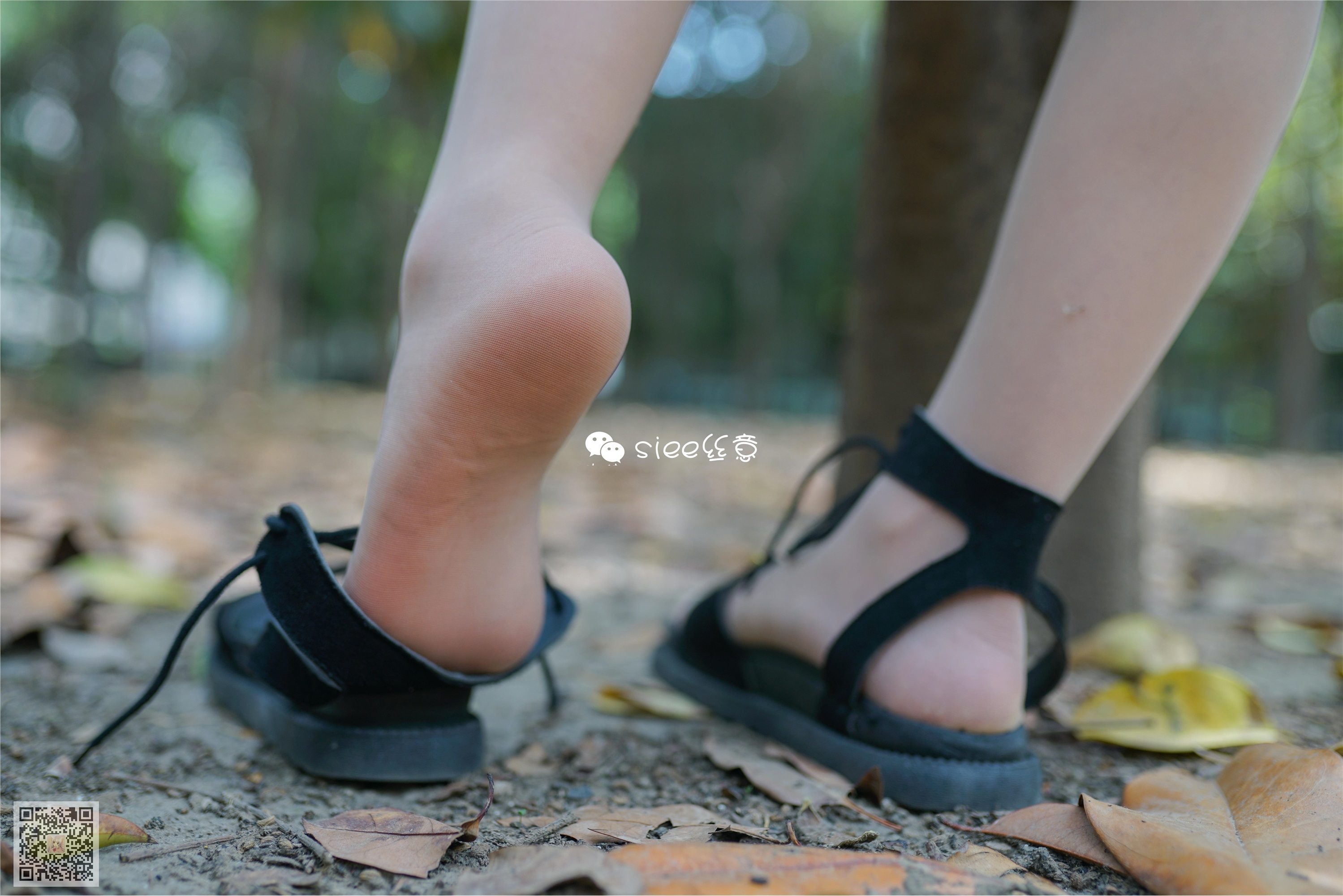 SIEE丝意  No.308 沐萱 小树林的秘密