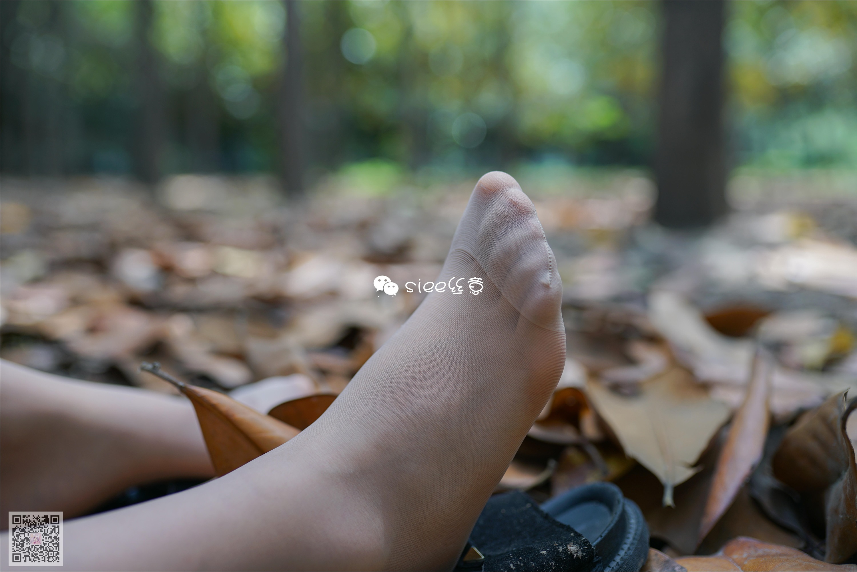 SIEE丝意  No.308 沐萱 小树林的秘密