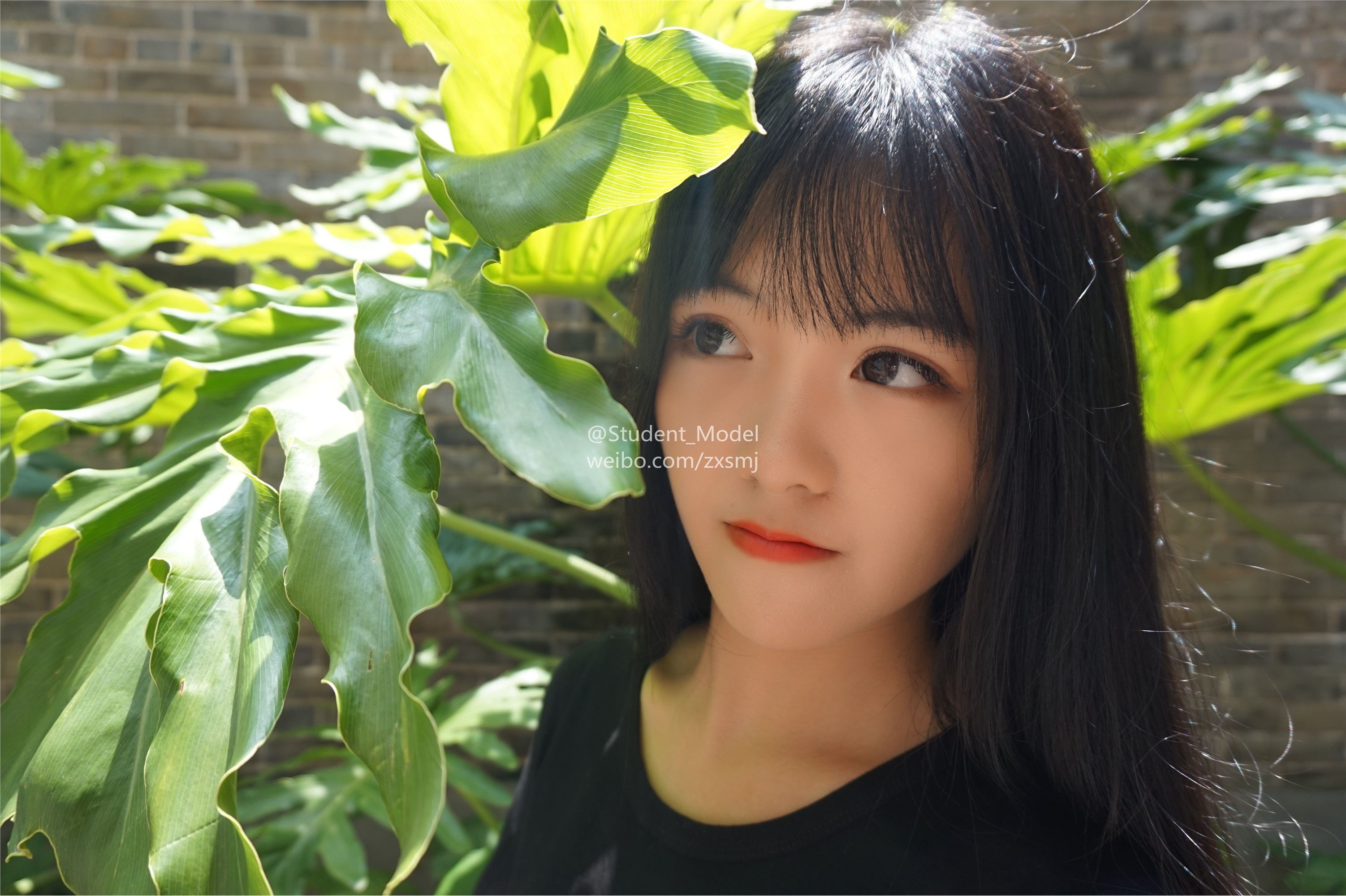 学生模特 套图 Sing