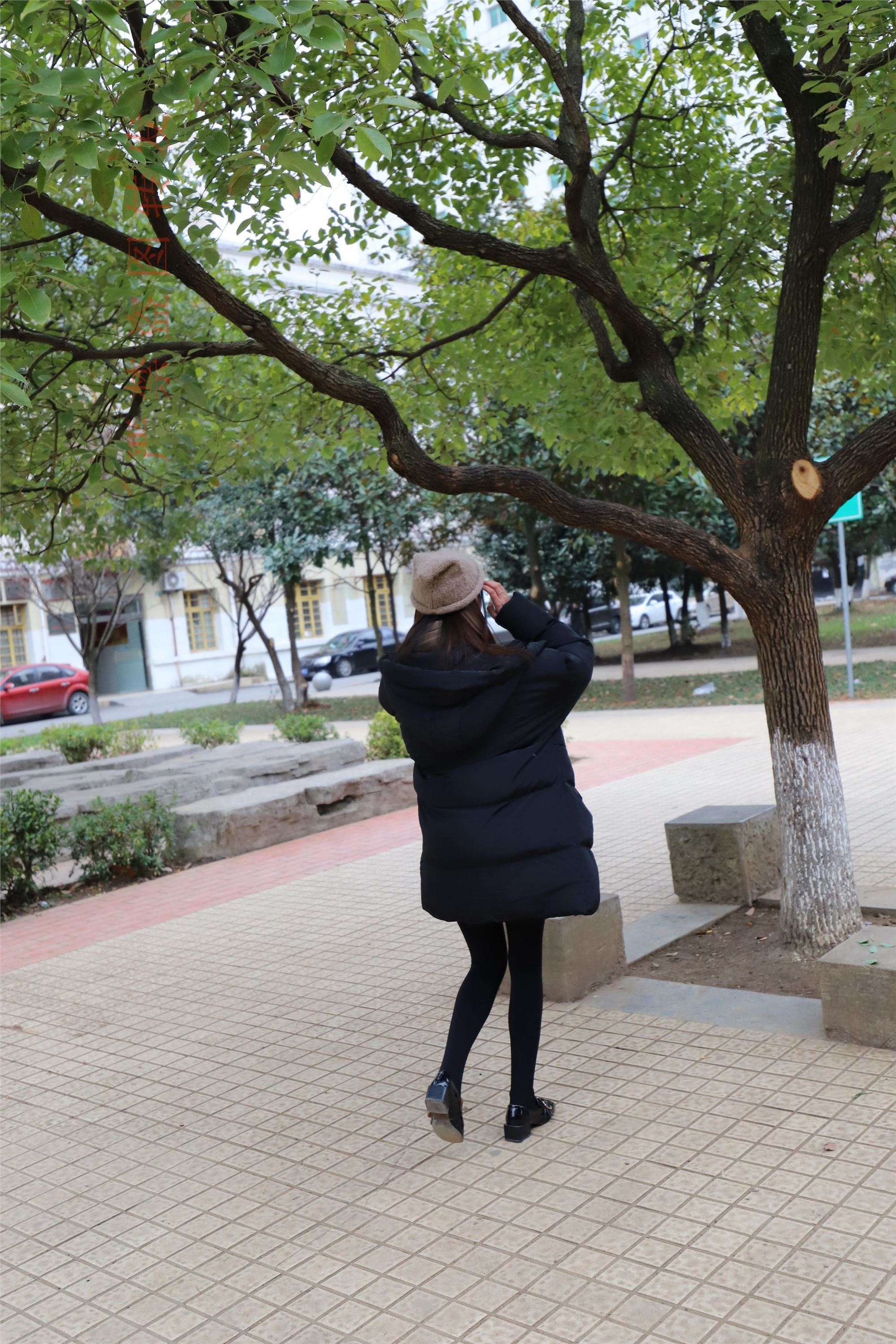 大西瓜套图  2018.03 黑厚1