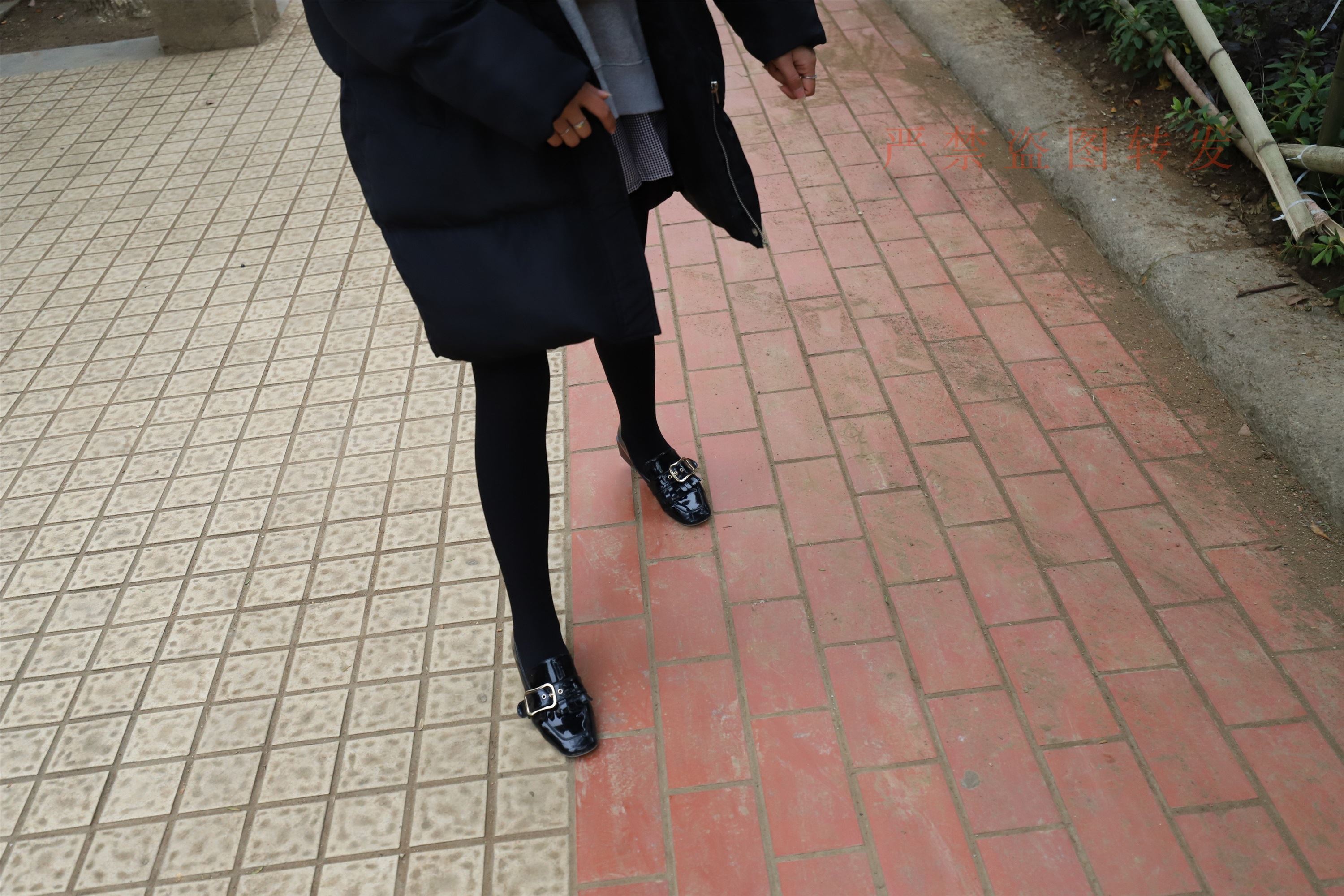 大西瓜套图  2018.03 黑厚1