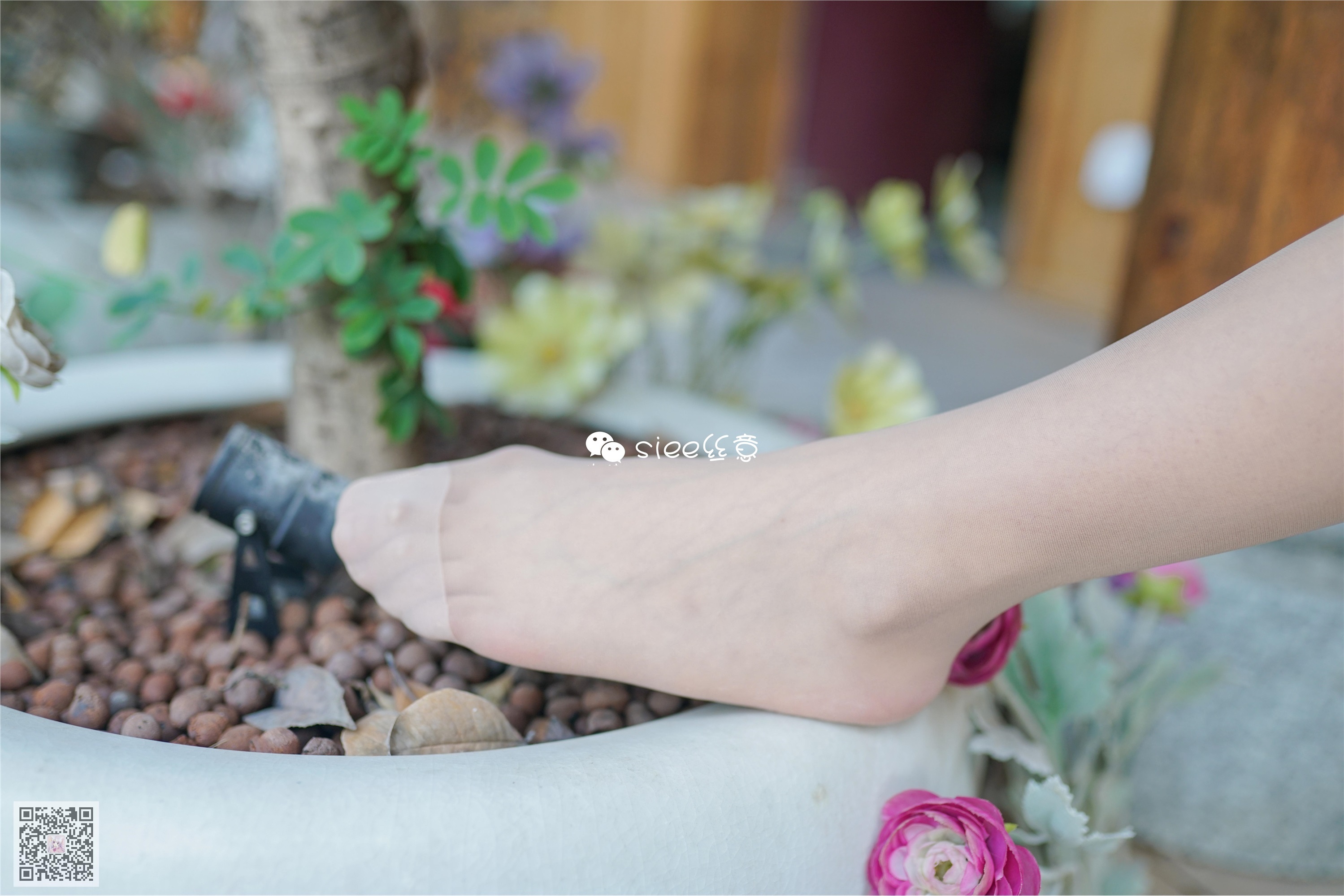 SIEE丝意  No.325 佳佳 夏夜静谧的月光