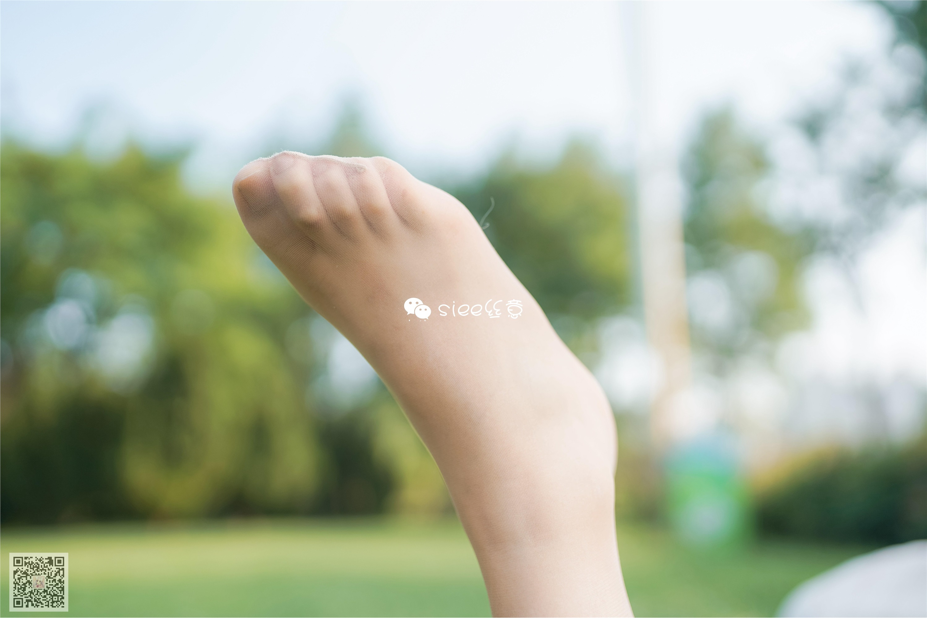 SIEE丝意  No.329 冰冰 花开无语，叶落有声