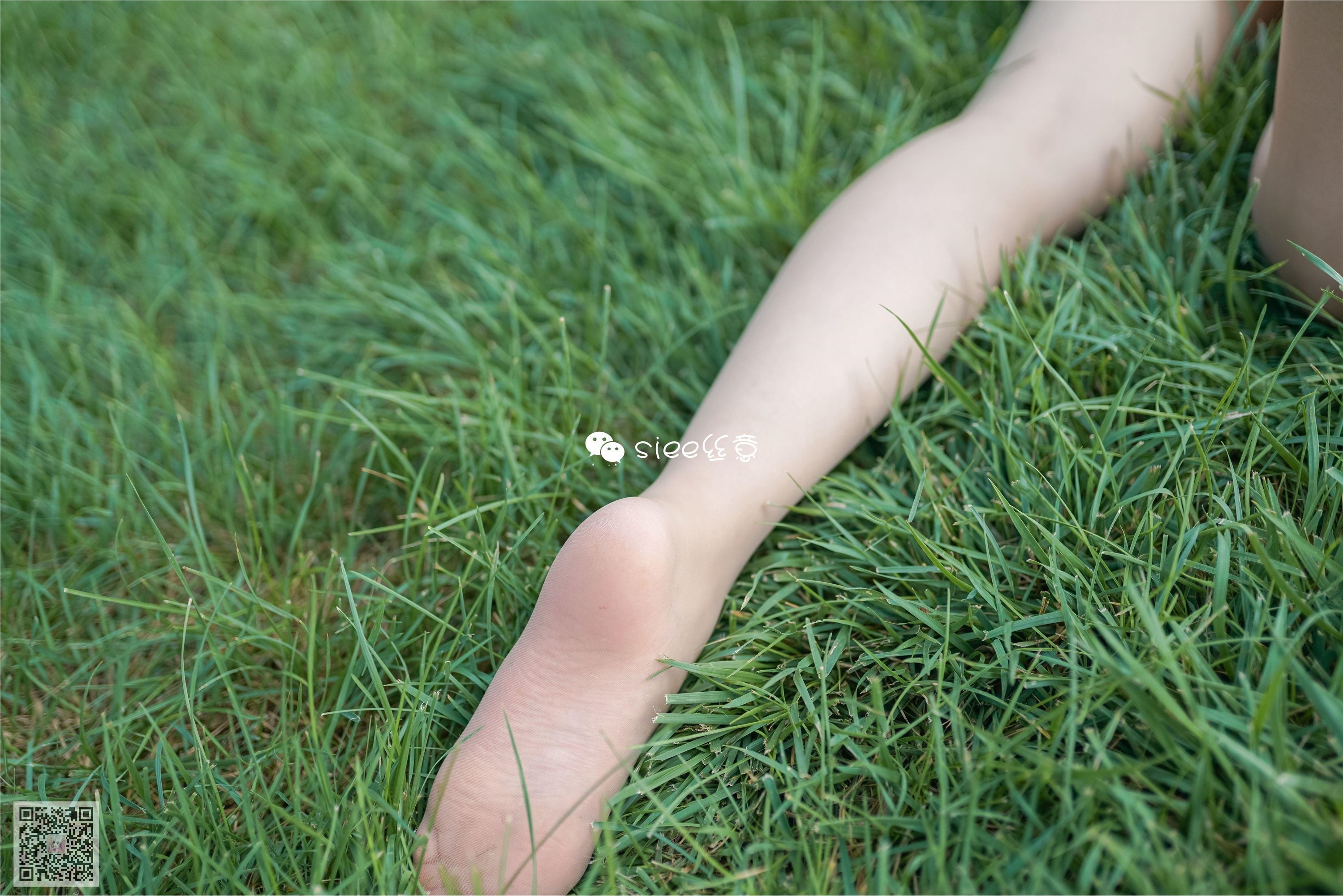 SIEE丝意  No.329 冰冰 花开无语，叶落有声