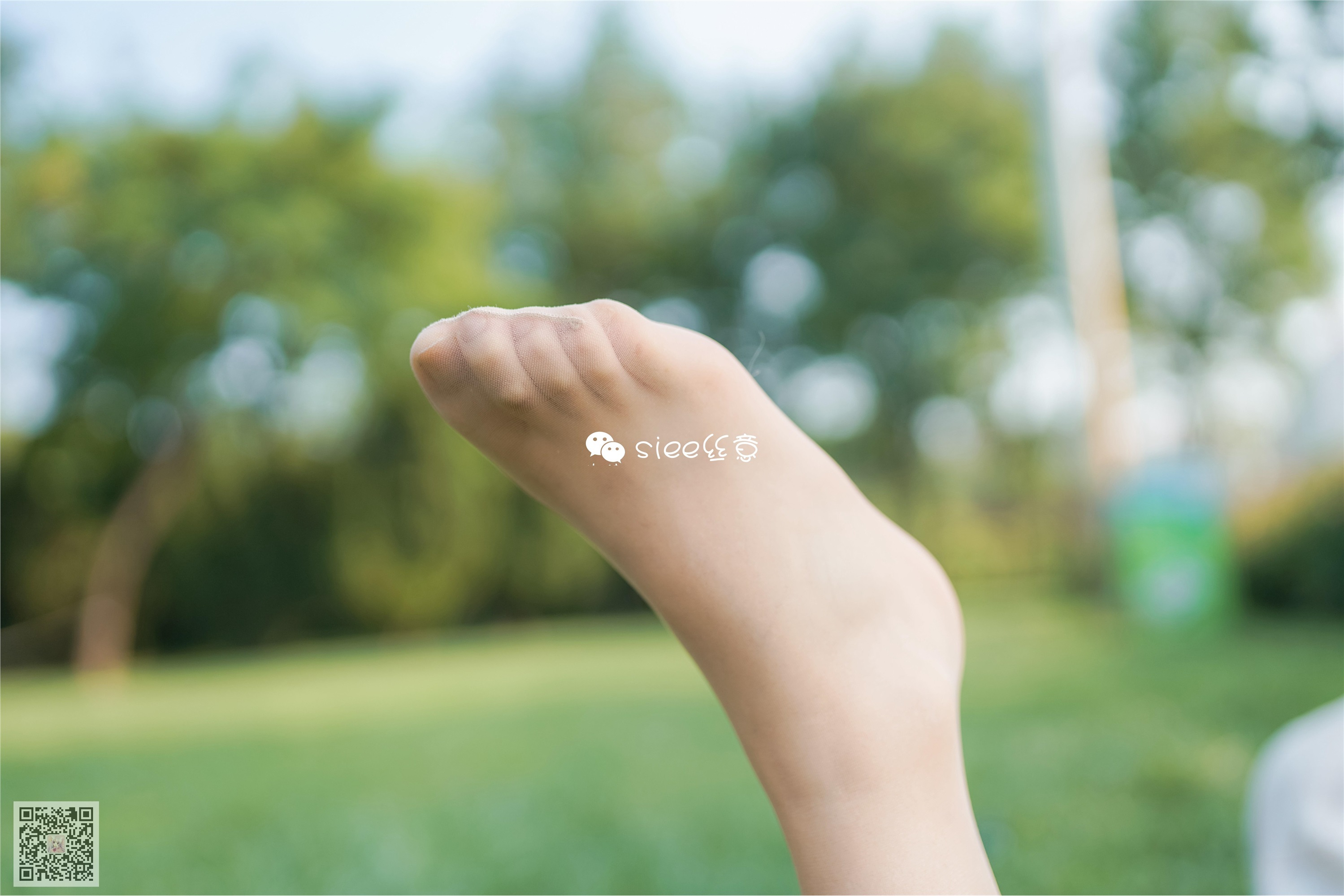 SIEE丝意  No.329 冰冰 花开无语，叶落有声