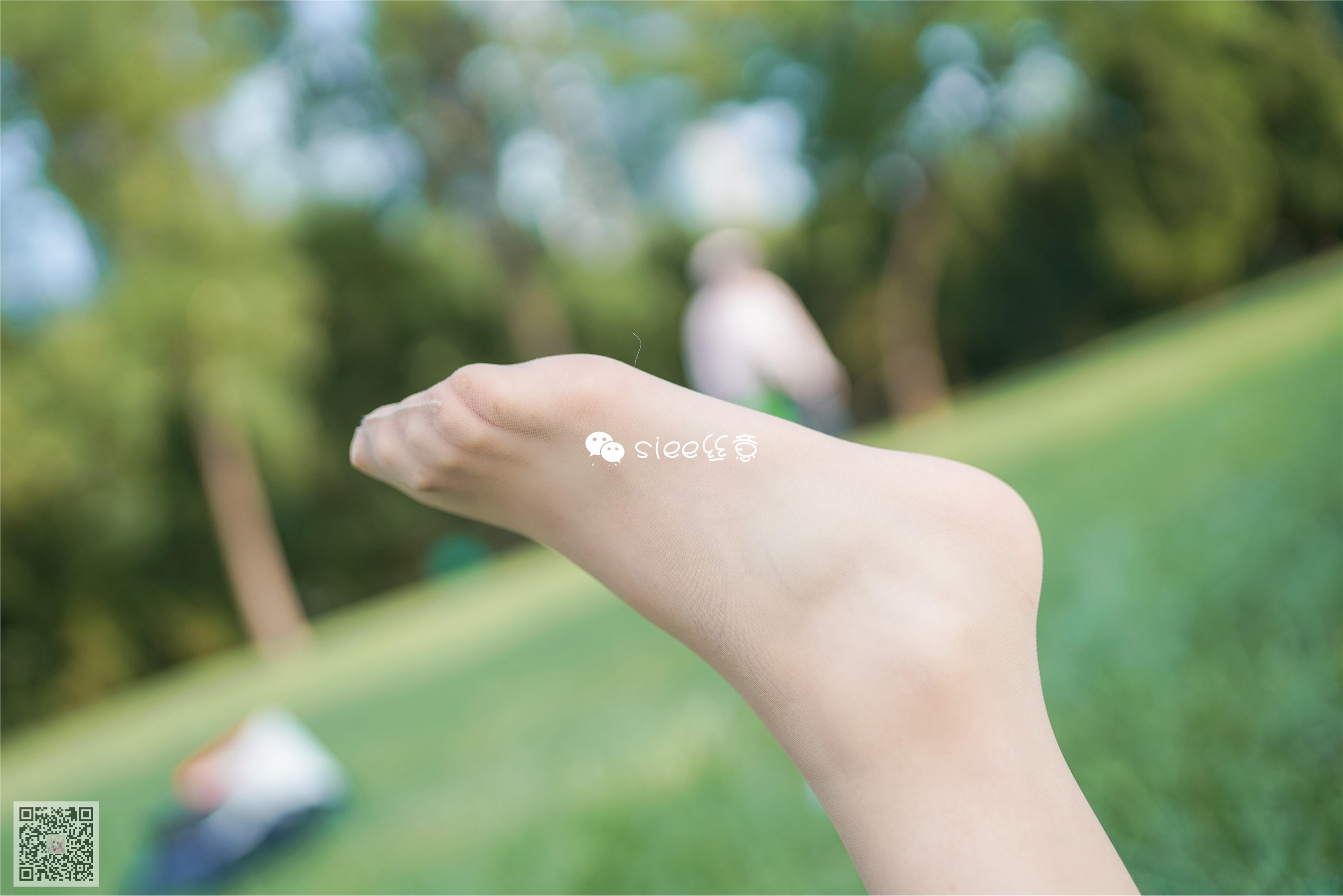 SIEE丝意  No.329 冰冰 花开无语，叶落有声