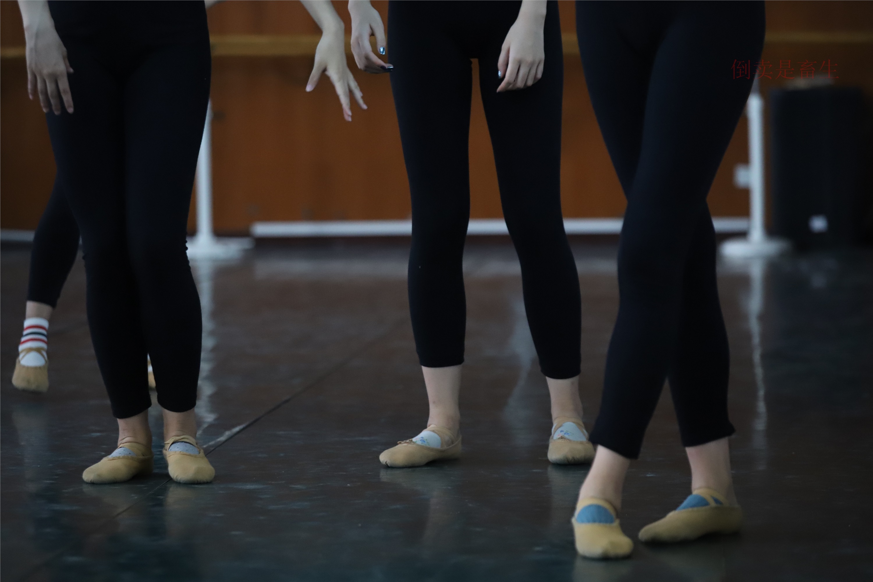 大西瓜美女图片 W003 舞蹈芭裤630p1