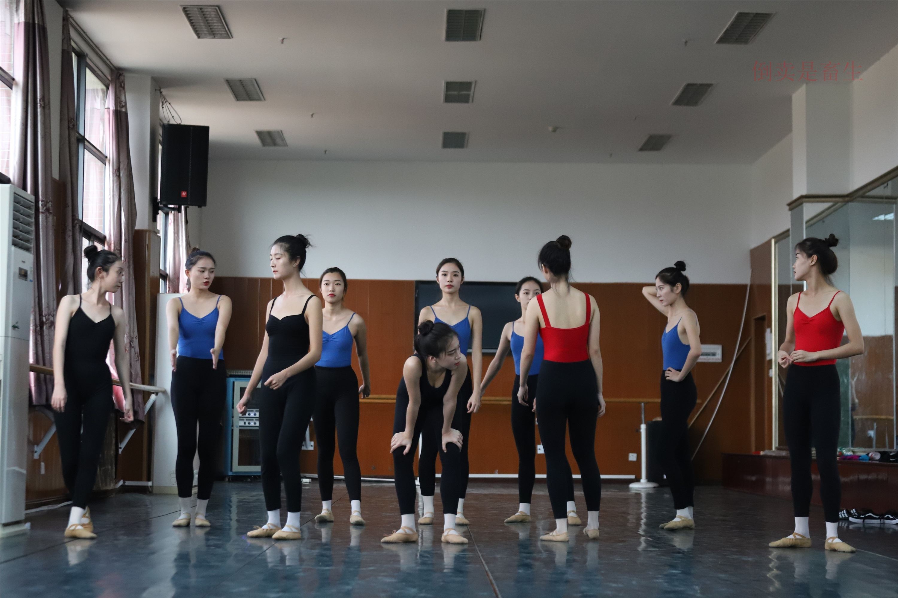 大西瓜美女图片 W003 舞蹈芭裤630p2