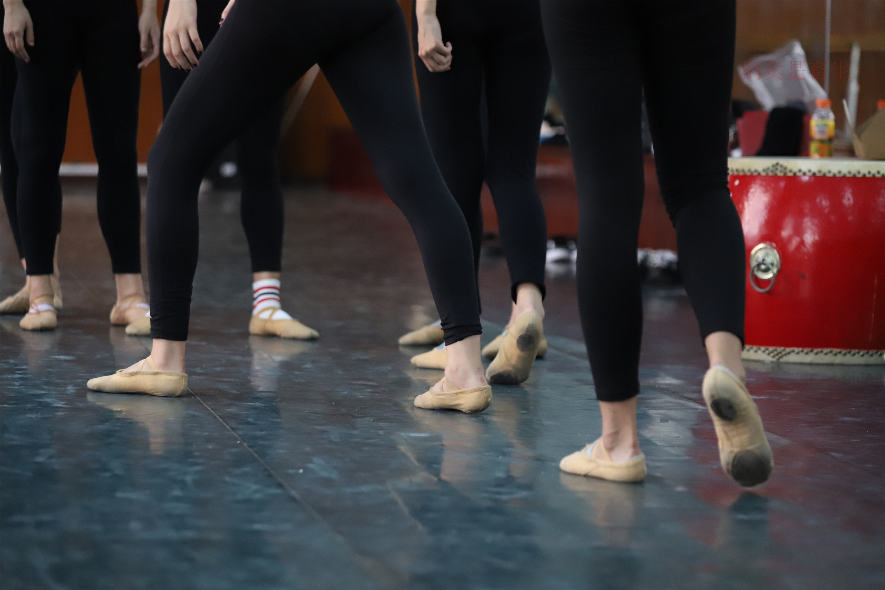 大西瓜美女图片 W003 舞蹈芭裤630p2