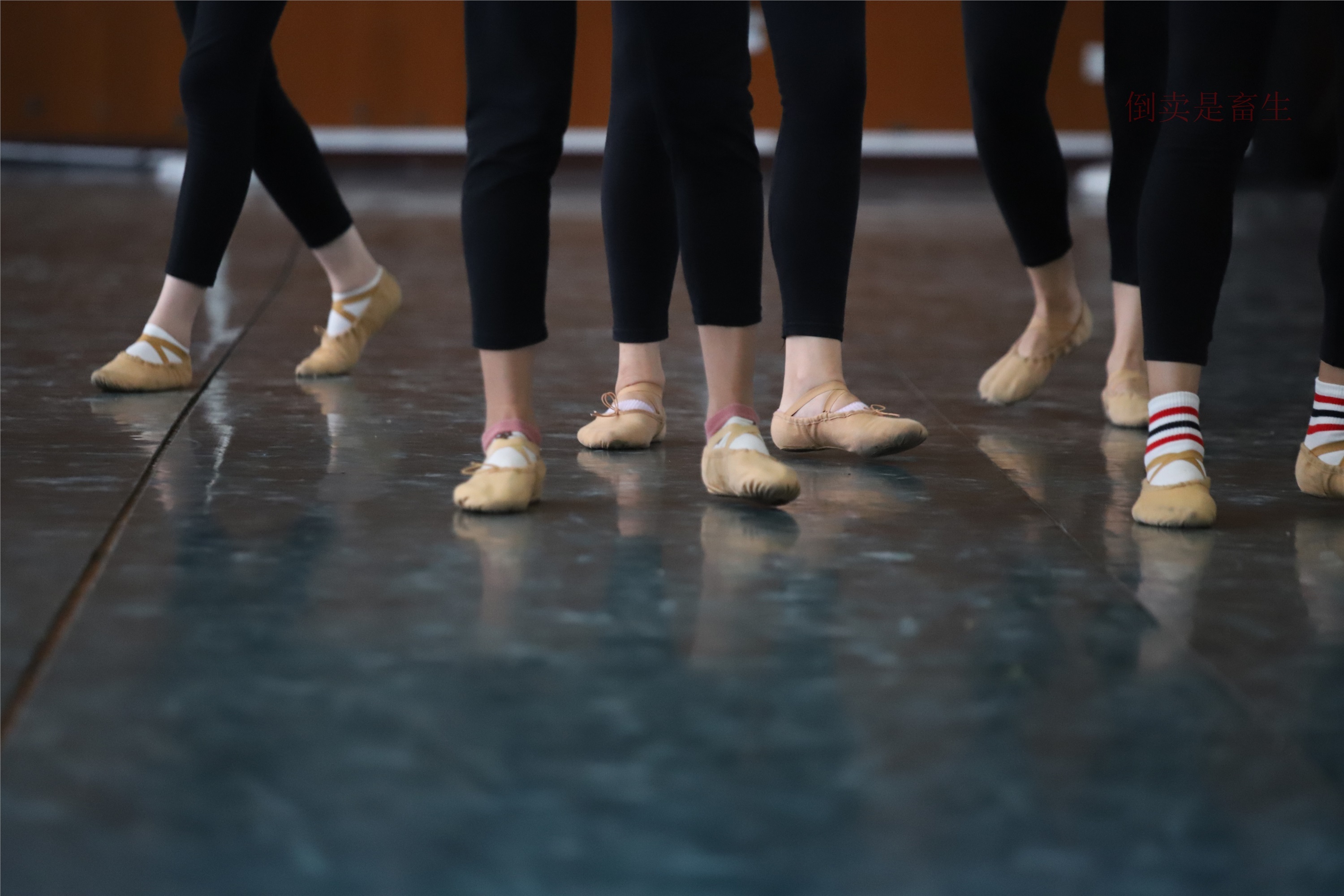 大西瓜美女图片 W003 舞蹈芭裤630p2