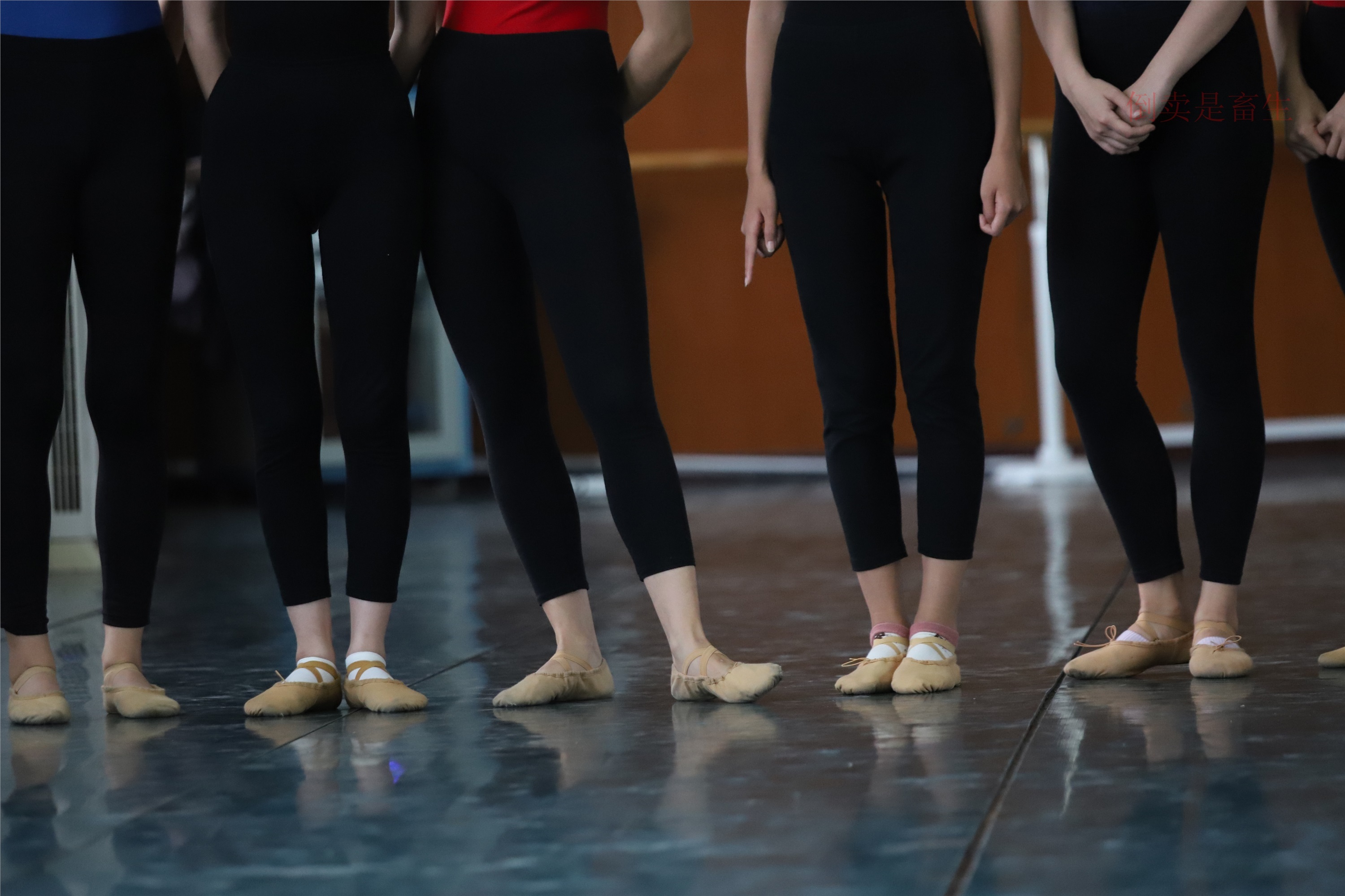 大西瓜美女图片 W003 舞蹈芭裤630p2