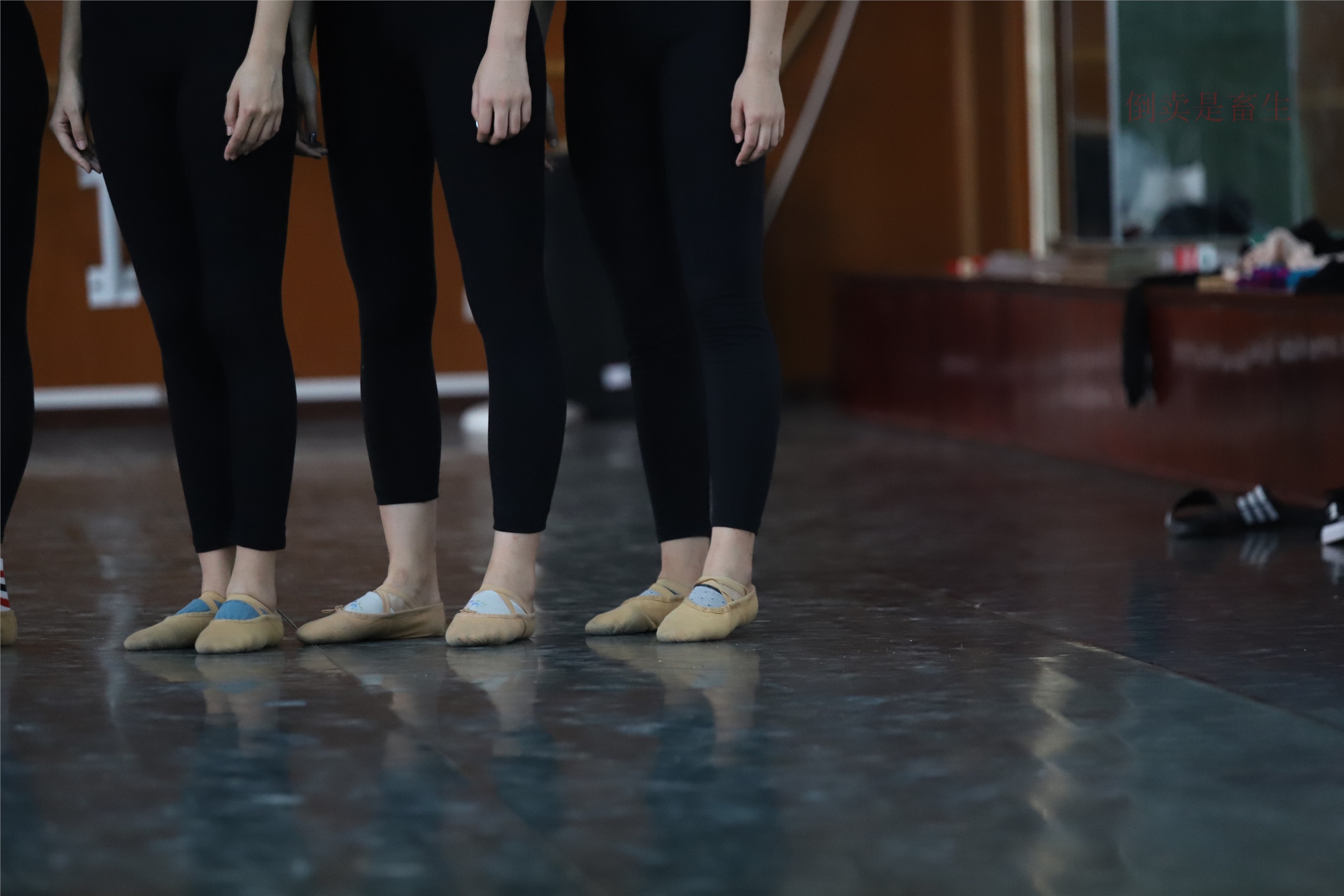 大西瓜美女图片 W003 舞蹈芭裤630p2