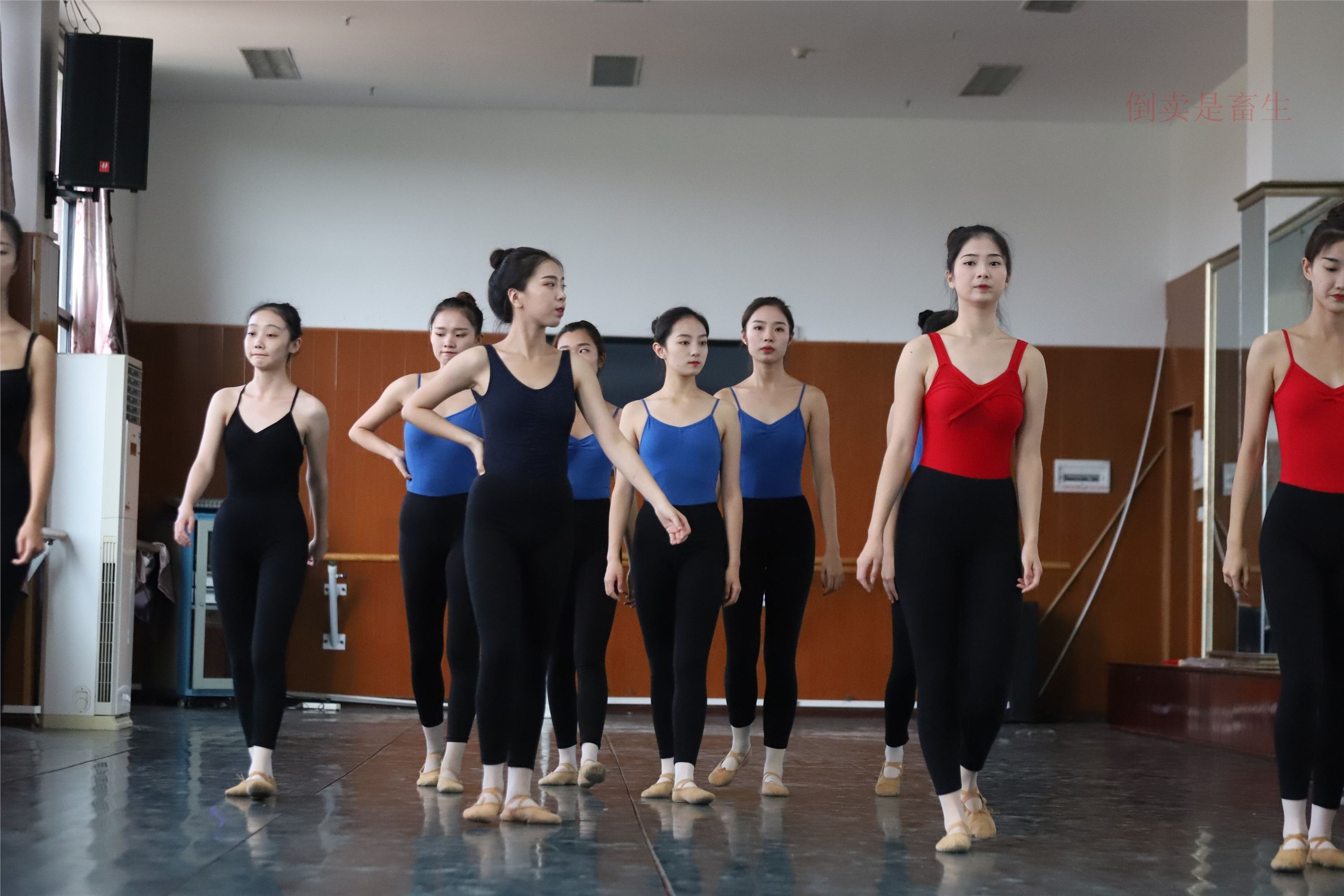 大西瓜美女图片 W003 舞蹈芭裤630p3