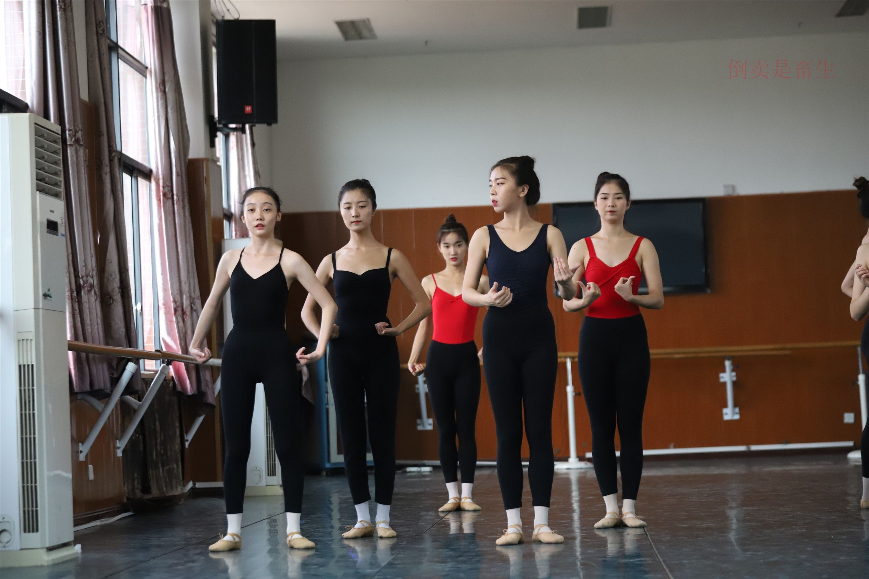 大西瓜美女图片 W003 舞蹈芭裤630p3