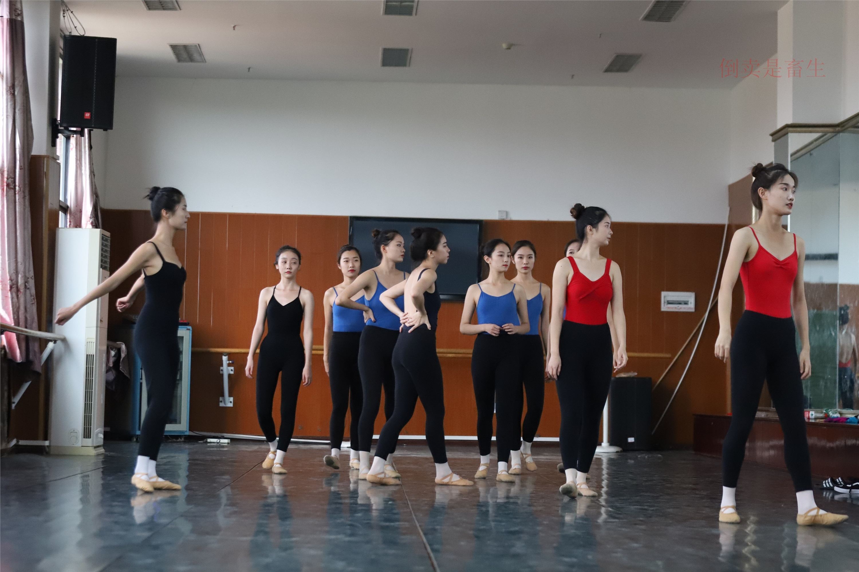 大西瓜美女图片 W003 舞蹈芭裤630p3