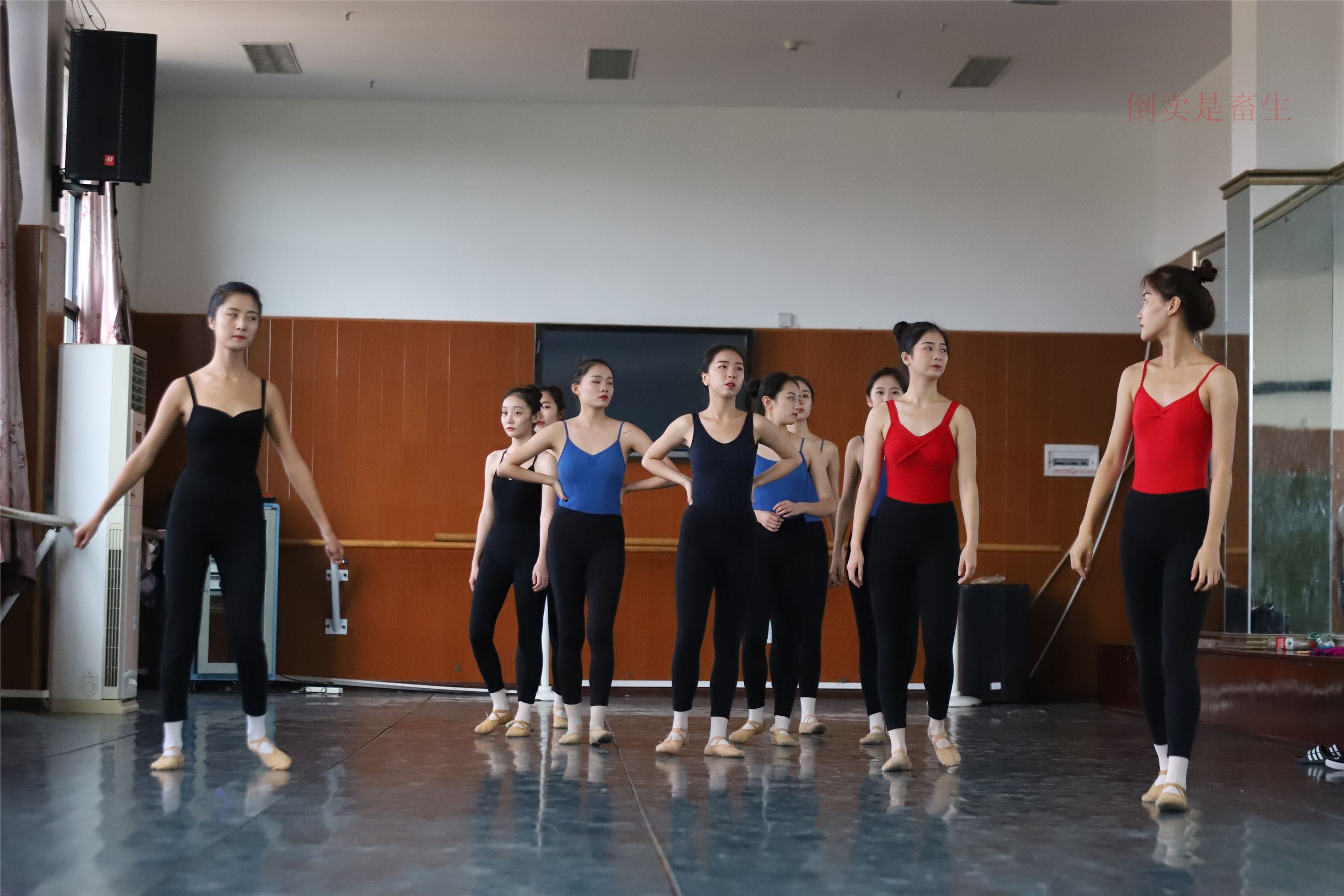 大西瓜美女图片 W003 舞蹈芭裤630p3